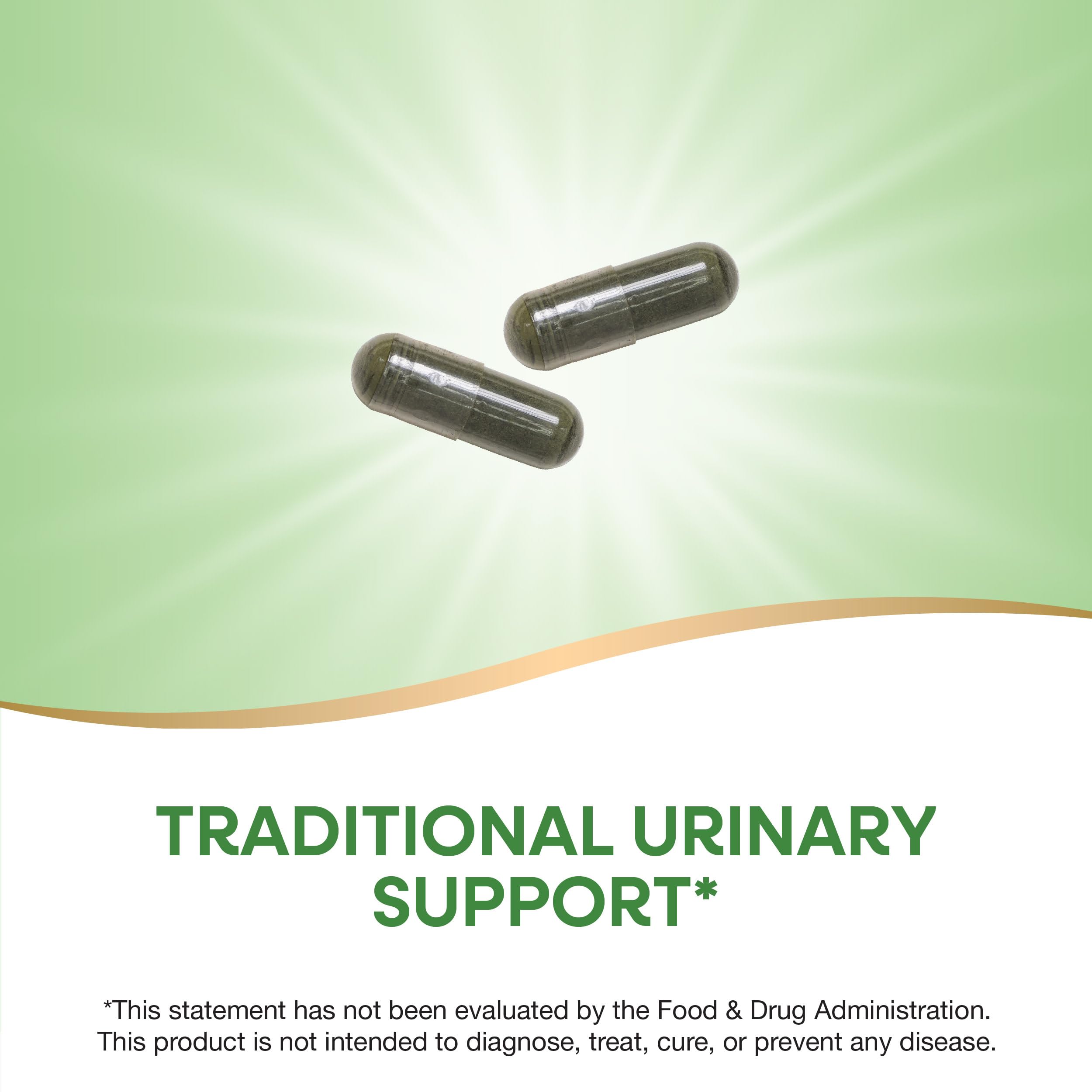 Nature's Way Nettle Leaf, Traditional Urinary Support*, 870 mg per 2-Capsule Serving, Non-GMO Project Verified, Vegan, 100 Capsules