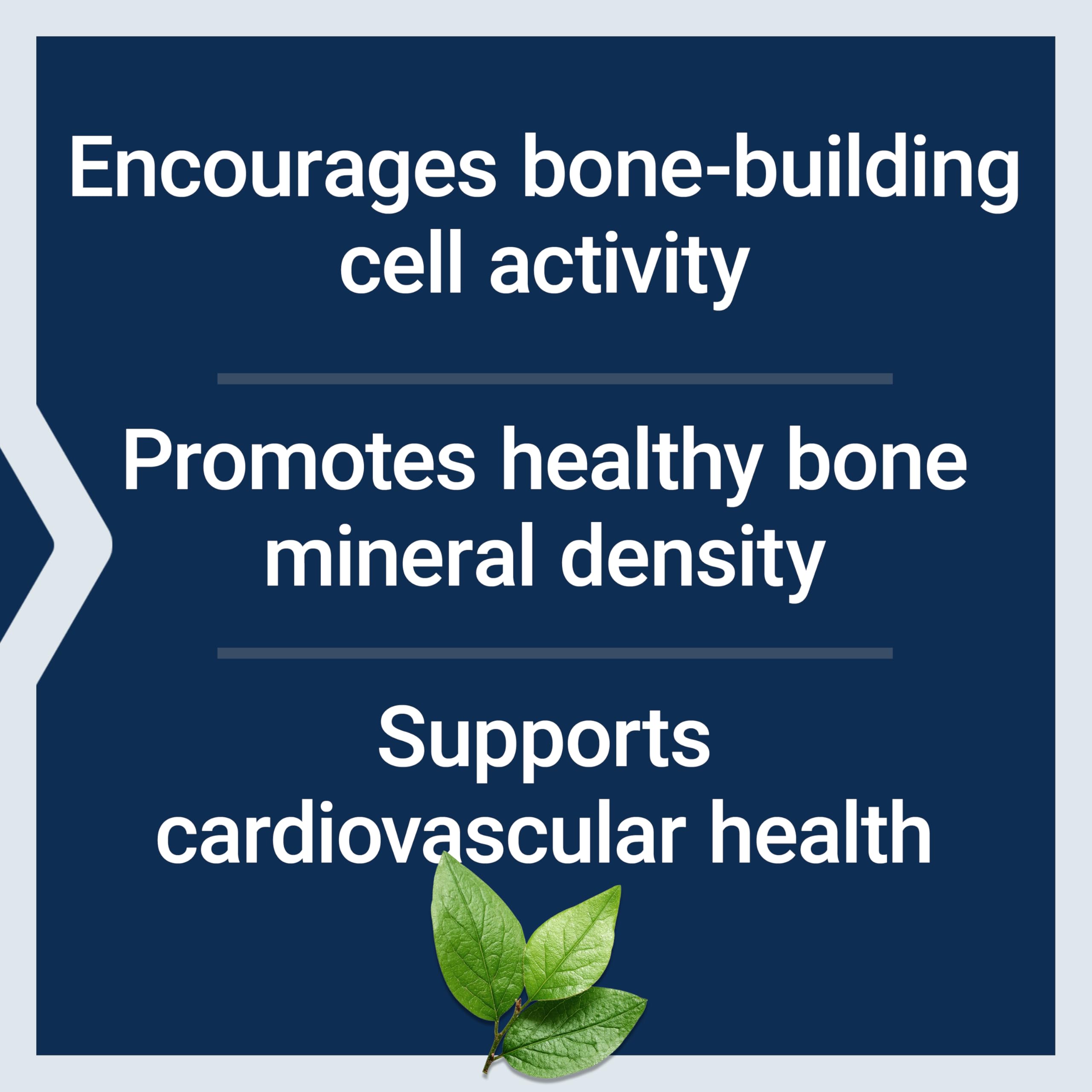 Life Extension Mega Vitamin K2 High Potency for Strong Bones, clinically Studied 45 mg K2 Dosage, Promotes Healthy Bone Density, Gluten-Free, Non-GMO, 30 Capsules