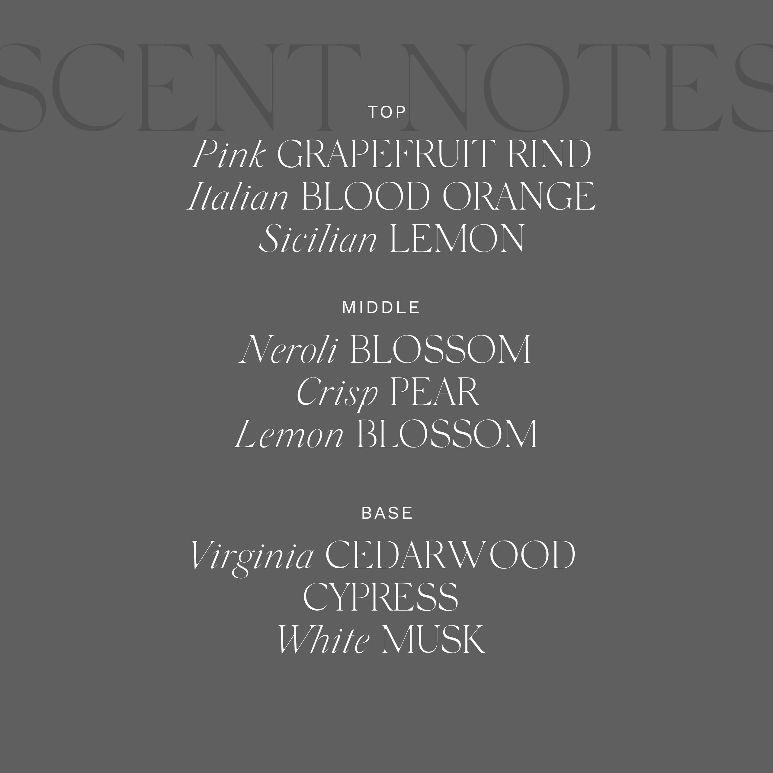 Antica Farmacista Hand Wash, Grapefruit, 10 Fl Oz