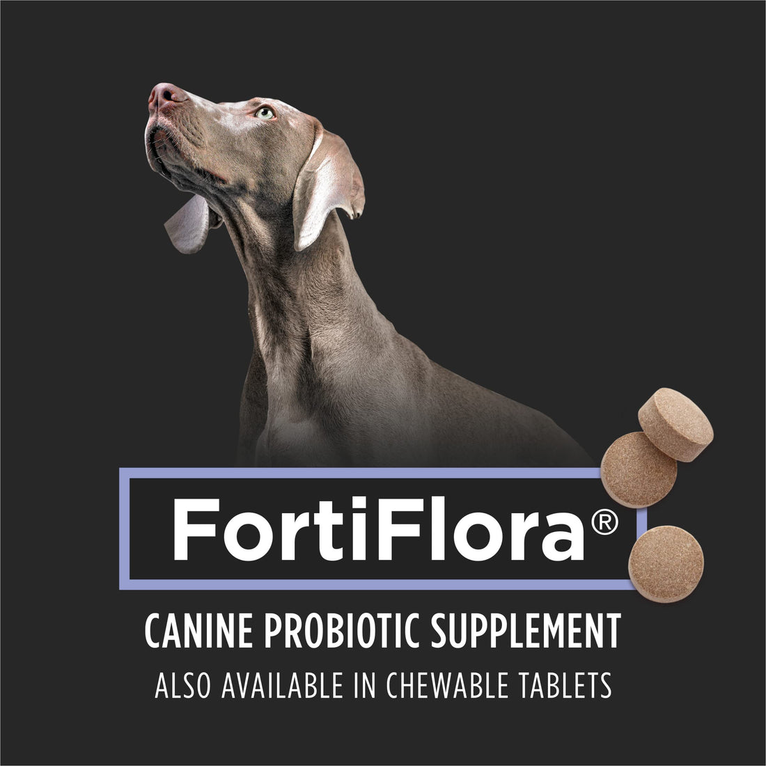 Purina Pro Plan Veterinary Supplements FortiFlora Dog Probiotic Supplement, Canine Nutritional Supplement - 30 Ct. Box (Copy)
