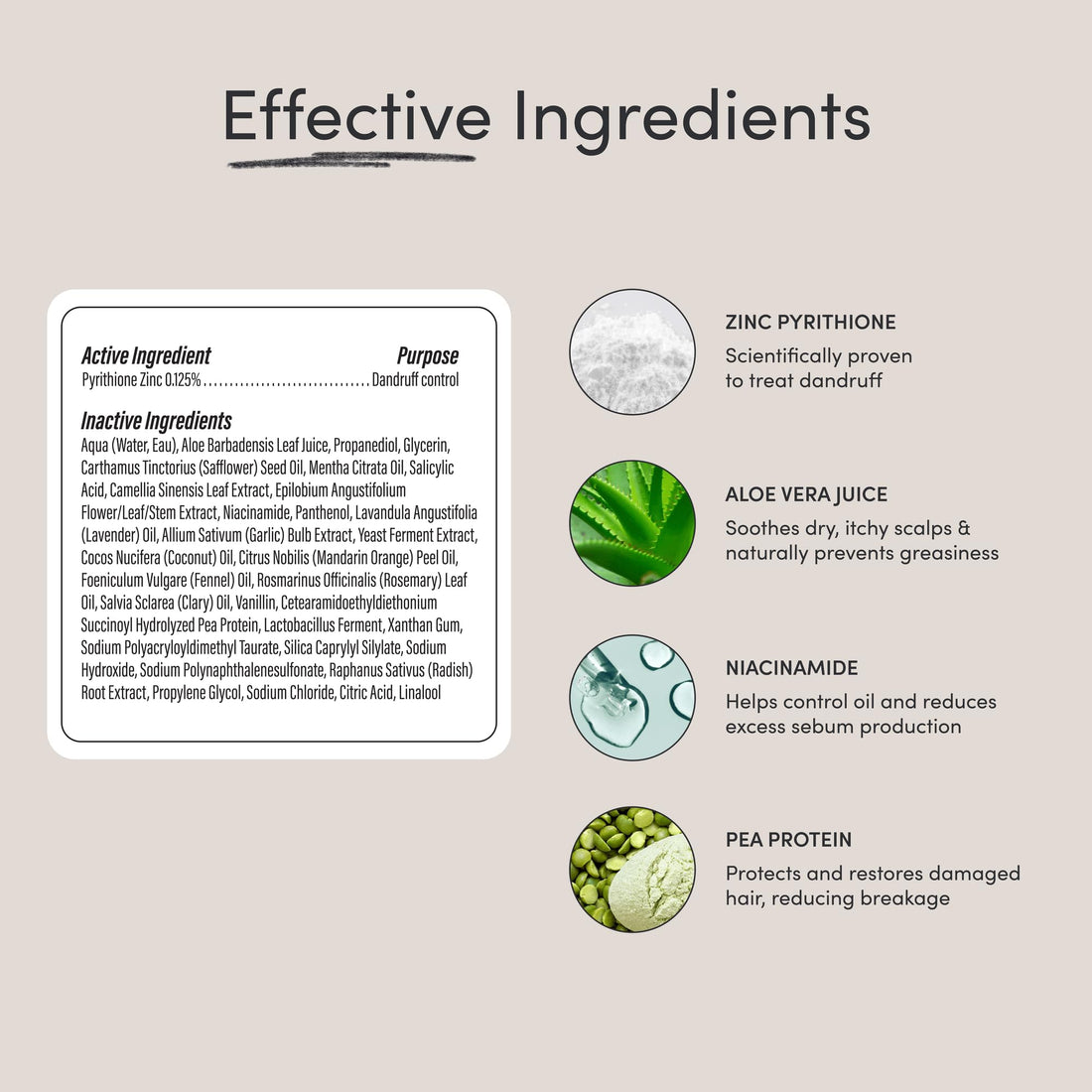 Jupiter Anti-Dandruff Shampoo and Serum, for Women & Men, Dermatologist-Formulated for Flaky, Itchy, Oily, & Dry Scalp, Sulfate-Free, Vegan, Color-Safe, & Paraben-Free, Shampoo with Zinc