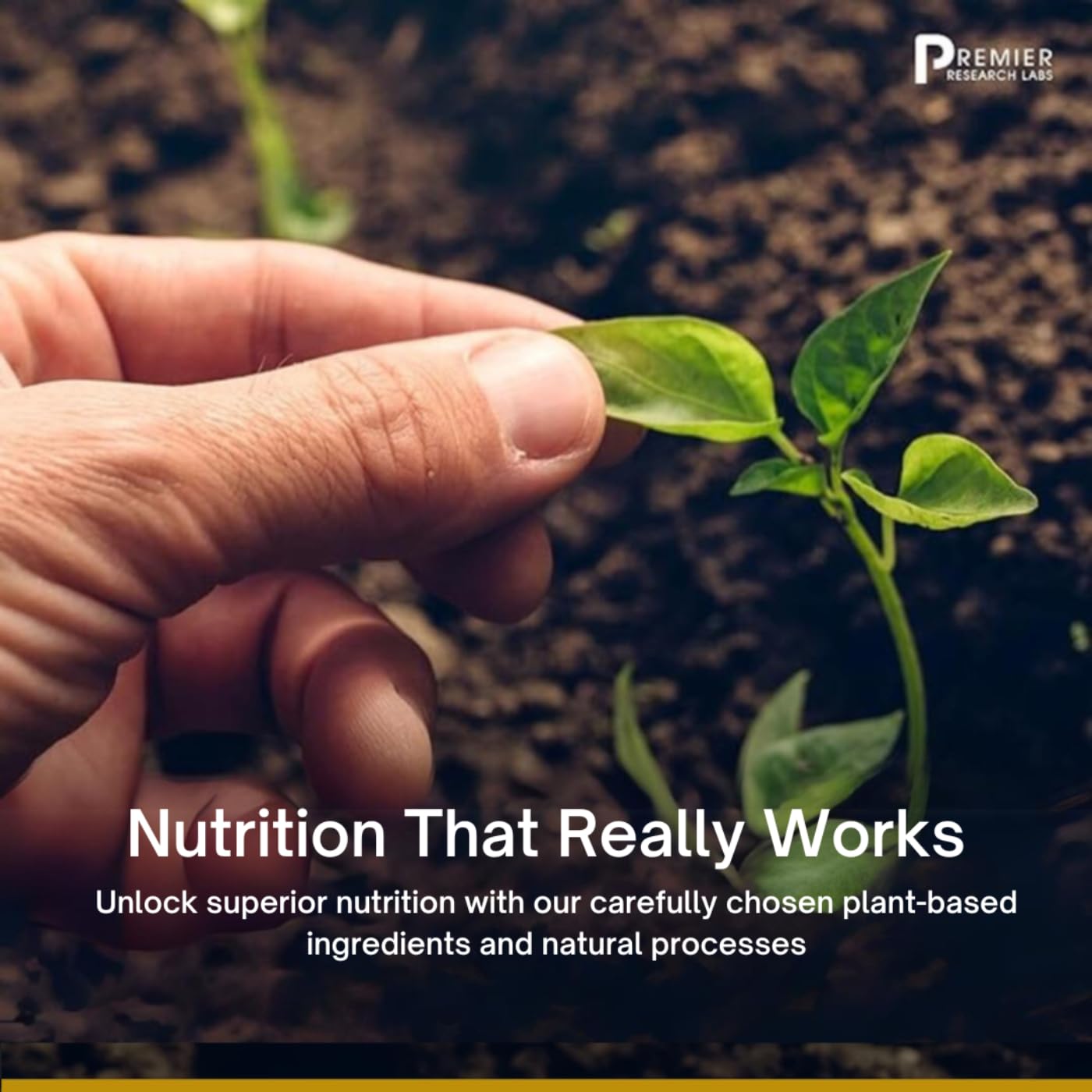 Premier Research Labs PancreVen - Pancreas Support, Pancreas Supplement, Cinnamon Supplements with Organic Ceylon Cinnamon & Prickly Pear to Aid Pancreas Health - 120 Vegetarian Capsules