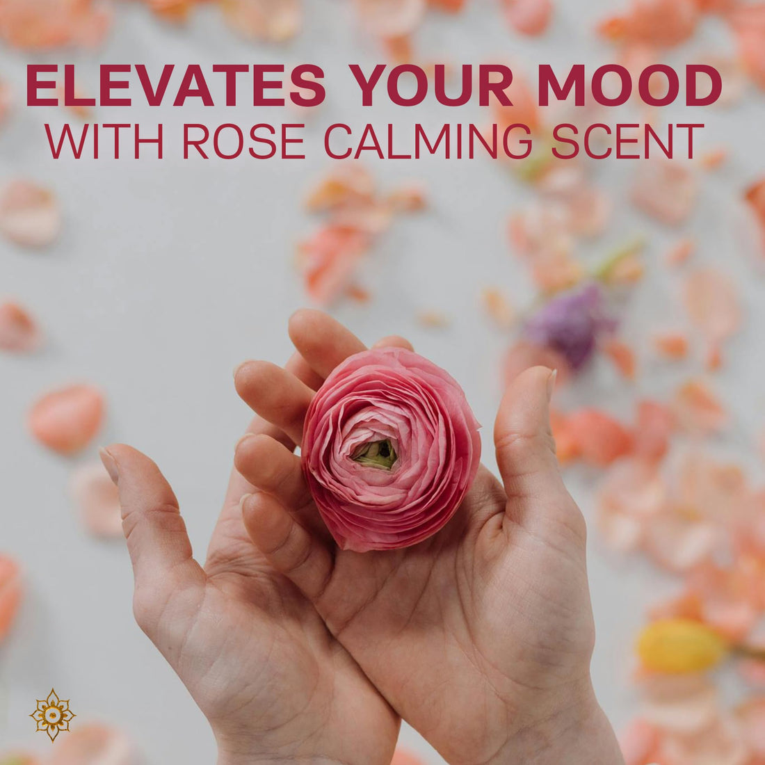 AUTHENTIC BATH & SOAP Natural - Damask Rose Oil Liquid Hand Soap - Hydrating Handsoap for All Skin Types, Hand Wash with Vitamin E, Cruelty-Free, Vegan, no Sulfate, Palm Oil Free 16.9 Fl Oz