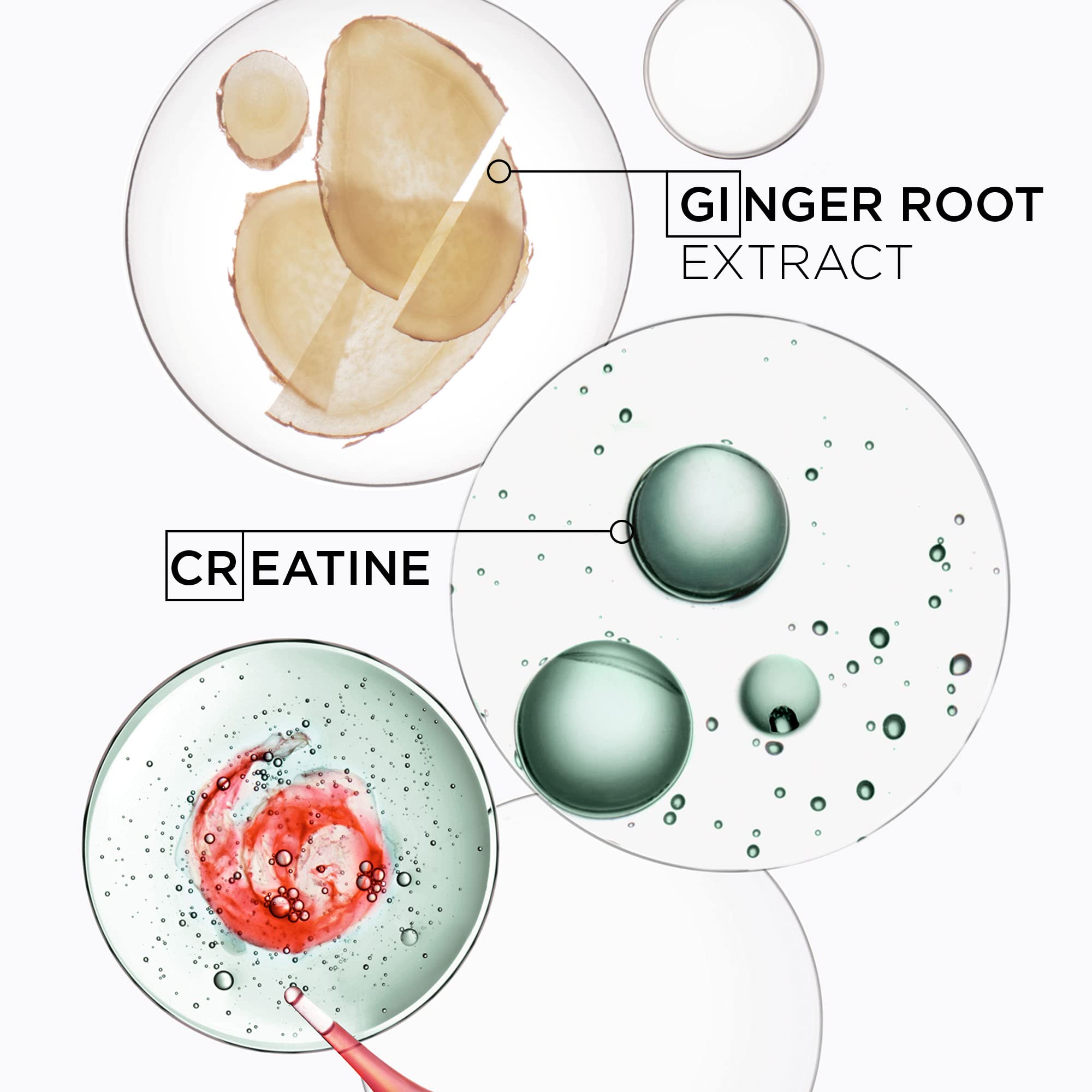 KÉRASTASE Men'sGenesis Homme Bain De force Shampoo, Deep Cleansing, Cooling, Strengthening & Hydrating for Scalp, Hair & Beard for Weakened Hair, 8.5 Fl Oz