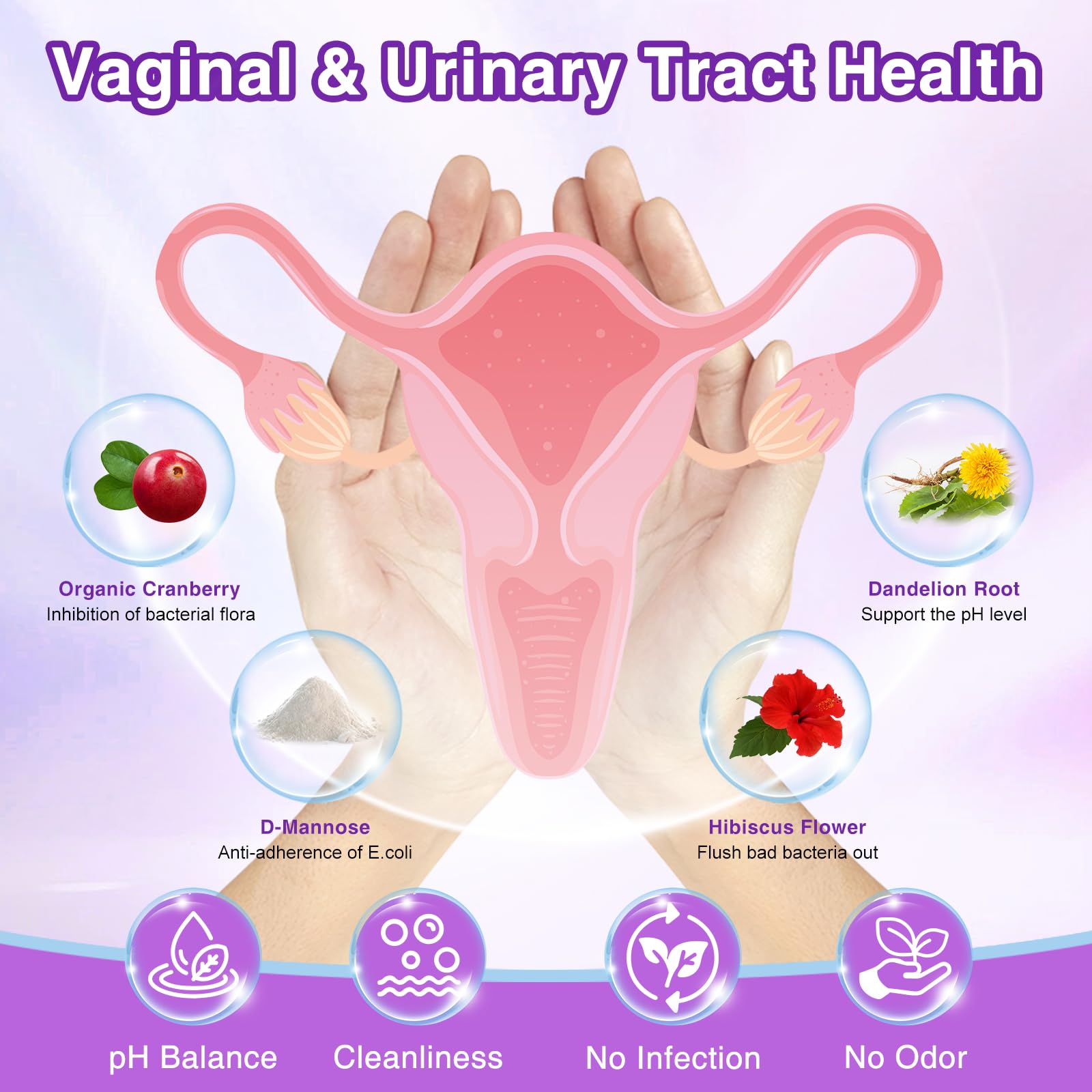 ZEBORA Probiotics for Women Digestive Health with Enzymes & Prebiotics, Vaginal Probiotics with D Mannose & Cranberry, 100 Billion CFUs Probiotic for Gut Health & Urinary Tract Balance, 90 Servings