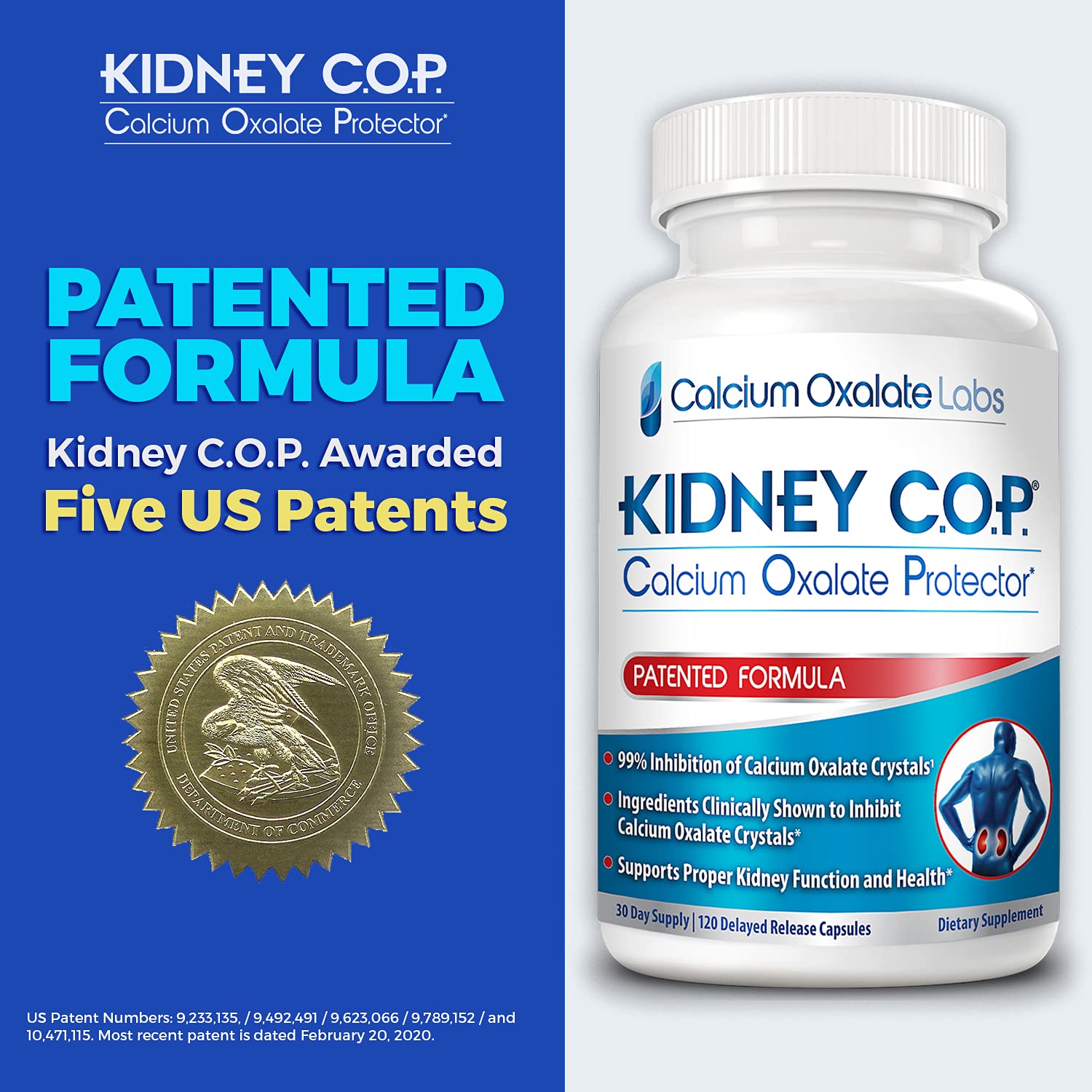 Kidney COP Calcium Oxalate Protector 120 Capsules, Patented Kidney Support for Calcium Oxalate Crystals, Stop Recurrence