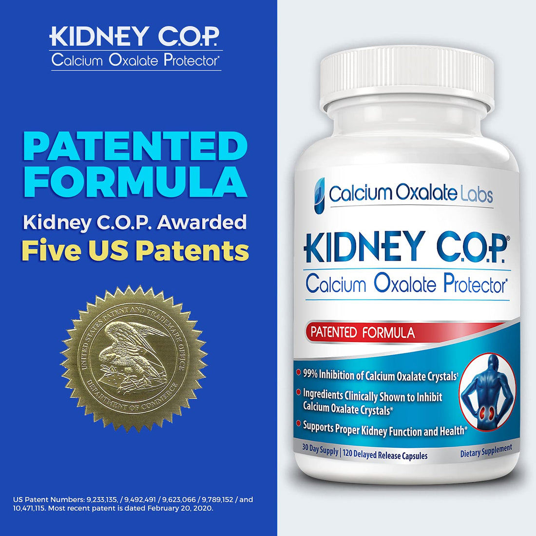 Kidney COP Calcium Oxalate Protector 120 Capsules, Patented Kidney Support for Calcium Oxalate Crystals, Stop Recurrence