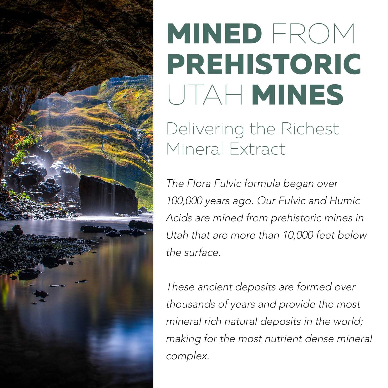 Flora Fulvic | Fulvic Acid + Humic Acid Complex – 550 mg |Mined in Utah, Prehistoric Deep Earth Extract | Immunity, Gut, Digestion – Natural Trace Mineral Complex, Fulvic Acid Supplement – 60 Capsules