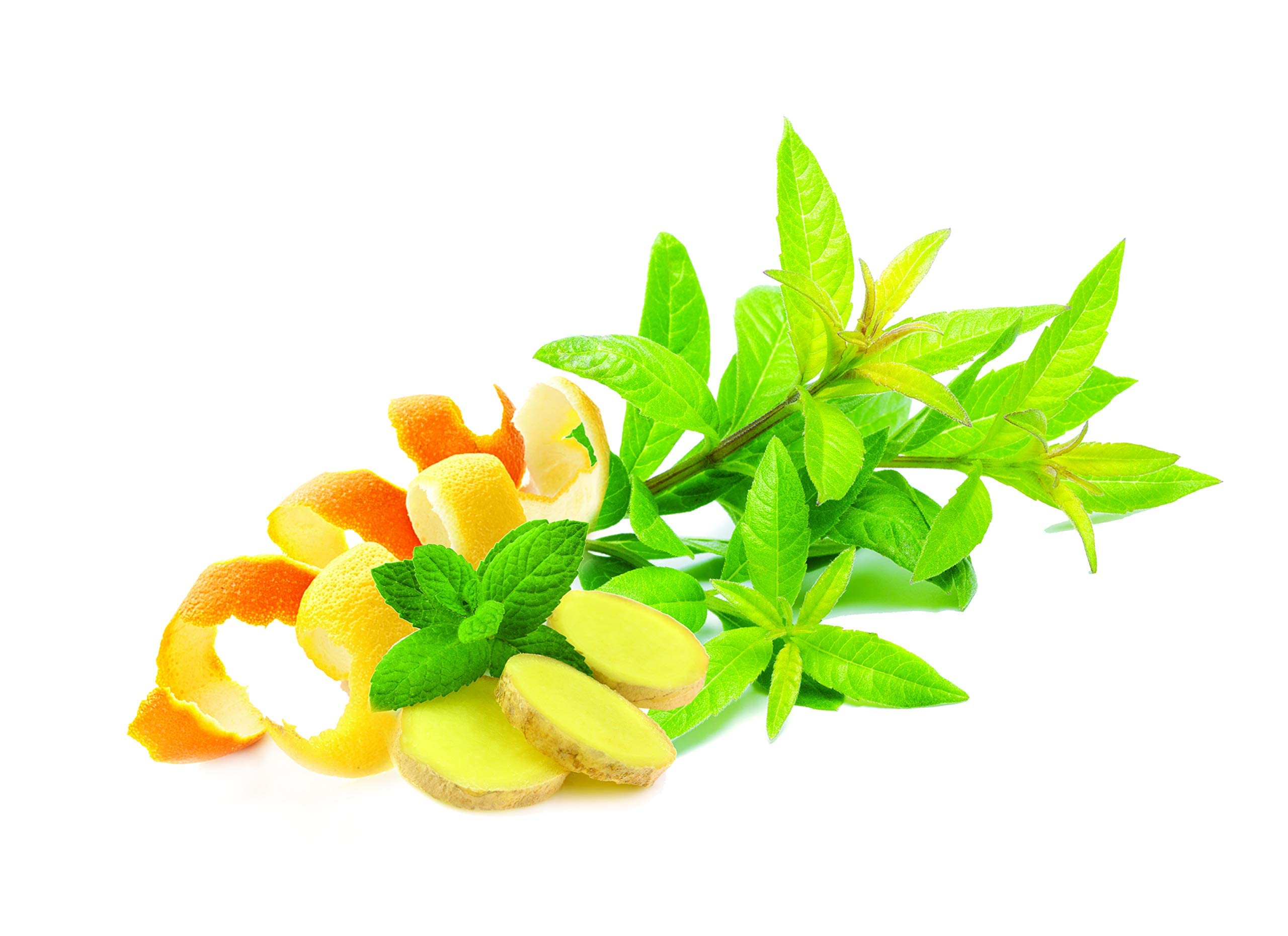 Qtica Smart Spa Luxury Lotion (Lemongrass Ginger Scent) 8.5oz