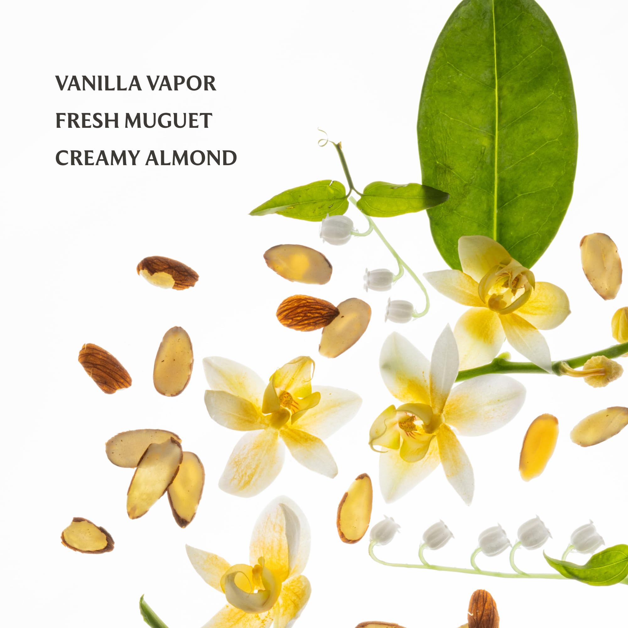 Touchland Power Essence Hydrating Body & Hair Fragrance, Vanilla Velvet, 2 FL. OZ. Travel Size Body Mist