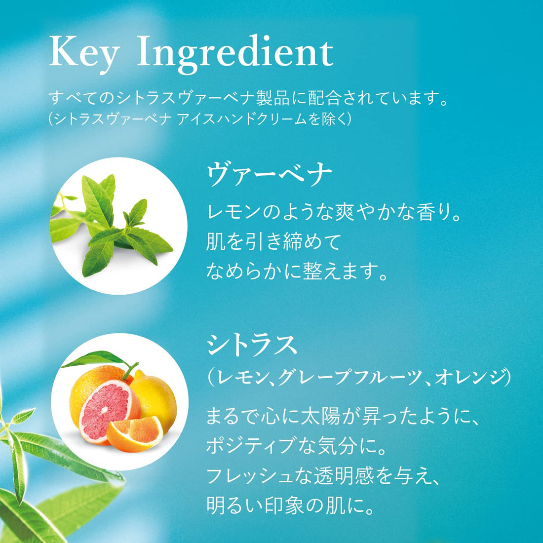 L'Occitane Citrus Verbena Fresh Body Milk 8.40 fl. oz