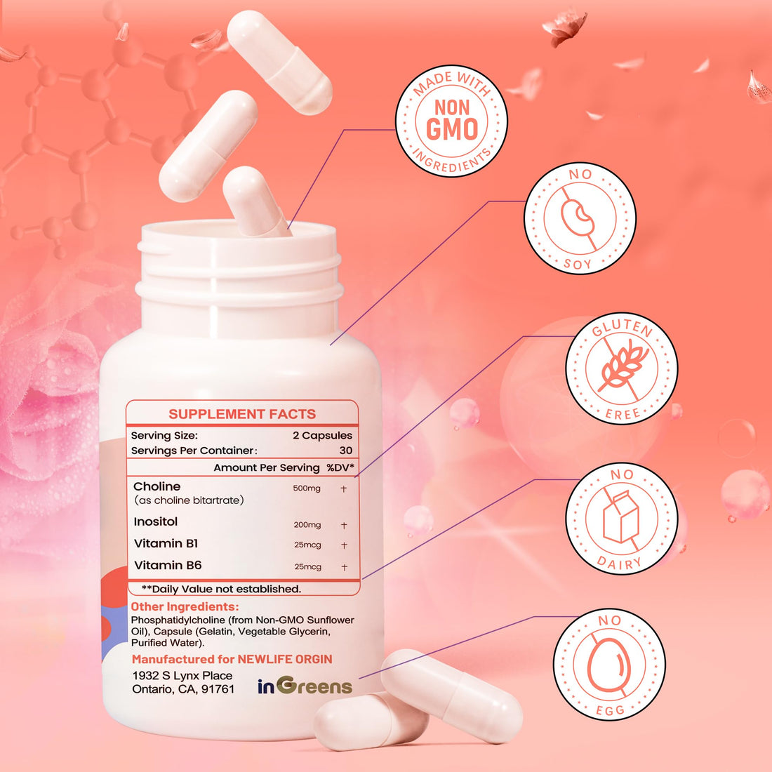 inGreens Prenatal Choline Supplement, 500mg, with Inositol, B1, B6, Brain Development in Utero/Early Life, Increase The Choline Content in Breast Milk,30 Day Supply