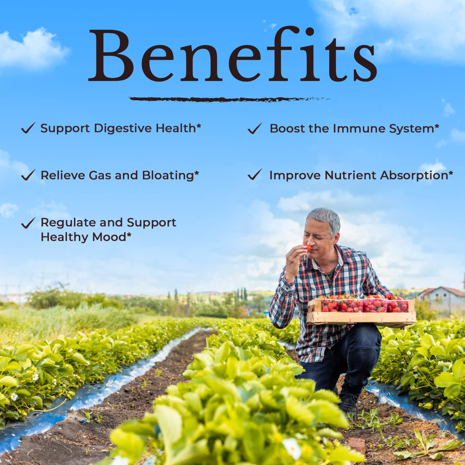 VITALITOWN Probiotics 120 Billion CFUs | 36 Strains, with Prebiotics & Digestive Enzymes for Men Women | Shelf Stable | Digestive Health & Immune Support | Vegan, Non-GMO | 30 Delayed Release Veg Caps