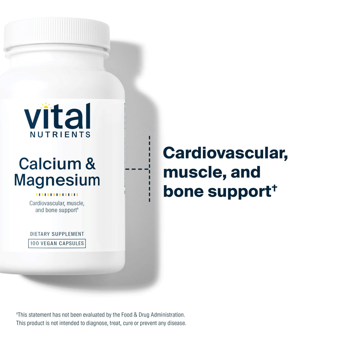 Vital Nutrients Calcium & Magnesium | Vegan Calcium Supplement with Magnesium | Support Bone Strength, Muscle, and Heart Health* | Gluten, Dairy, Soy Free | Non-GMO | 100 Capsules