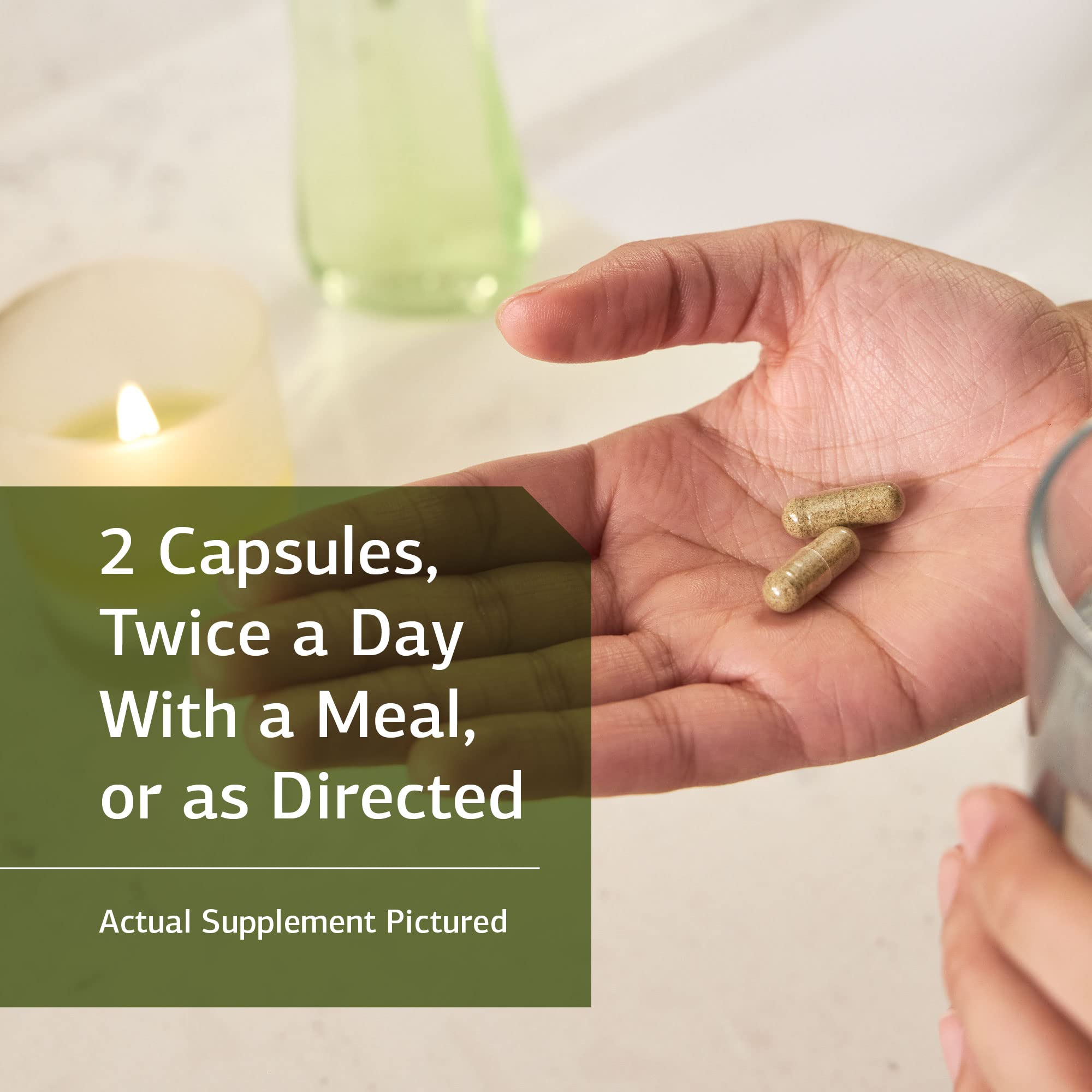 Standard Process Inc. Diaplex - Whole Food Bowel, Pancreas, Metabolism, Antioxidant, Gallbladder Support with Pepsin, Betaine Hydrochloride, Soy Protein - 150 Capsules