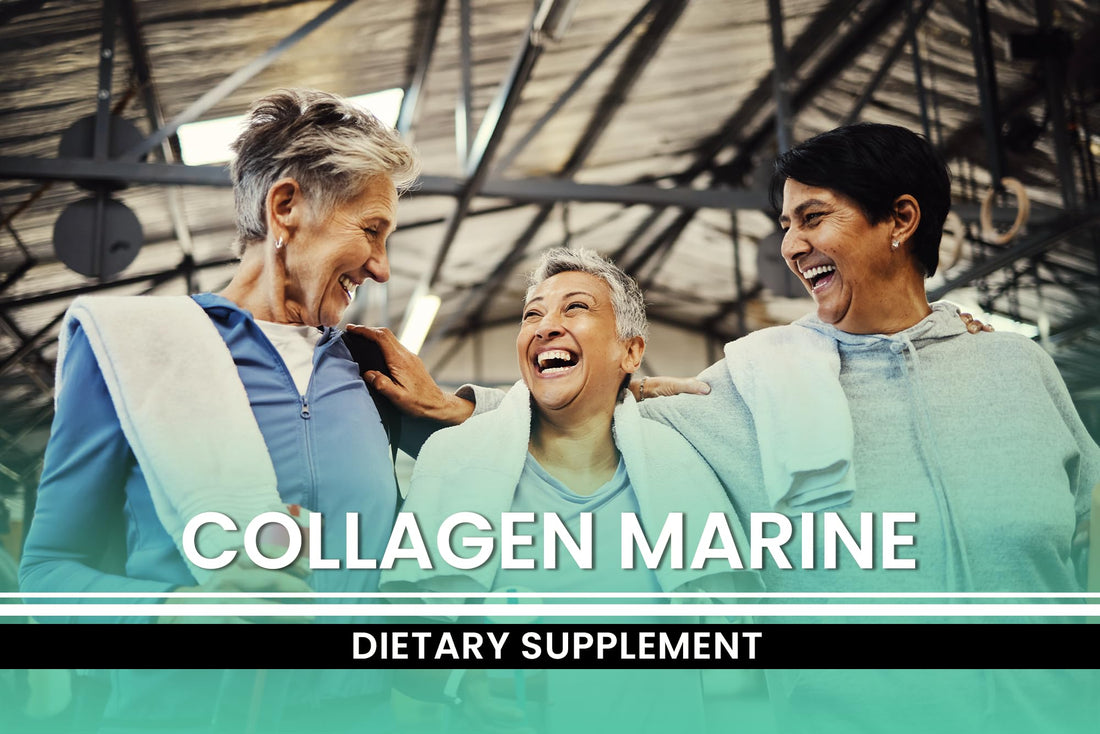 Pure Original Ingredients Collagen Peptides (730 Capsules) No Magnesium Or Rice Fillers, Always Pure, Lab Verified