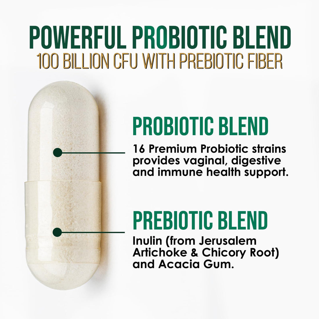 Probiotics for Digestive Health, 120 Billion CFU for Women's Vaginal pH & Daily Immune Support, Nature's Probiotic Supplement for Gut Health & Bloating, Probiotics for Women & Men - 60 Capsules