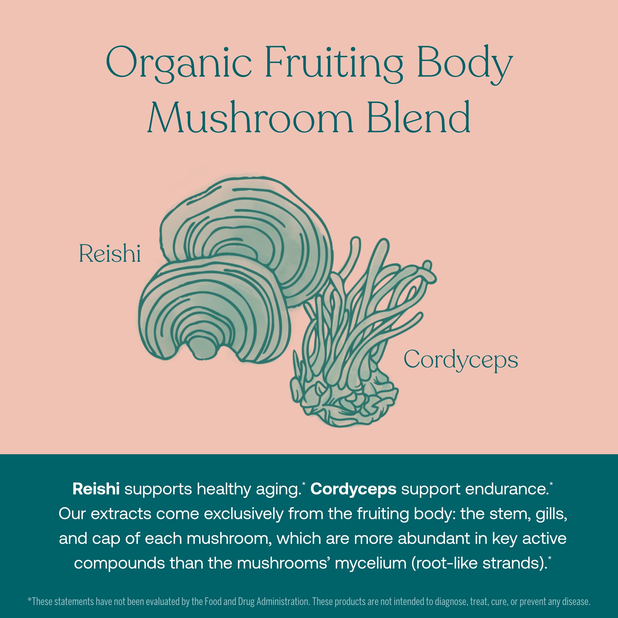 True Grace One Daily Women’s Multivitamin Fermented Minerals, Organic Adaptogens & Mushrooms Whole Body Balance, Immune, Energy, Beauty Support - Non-GMO, Gluten Free, Soy Free - 30 Vegan Tablets