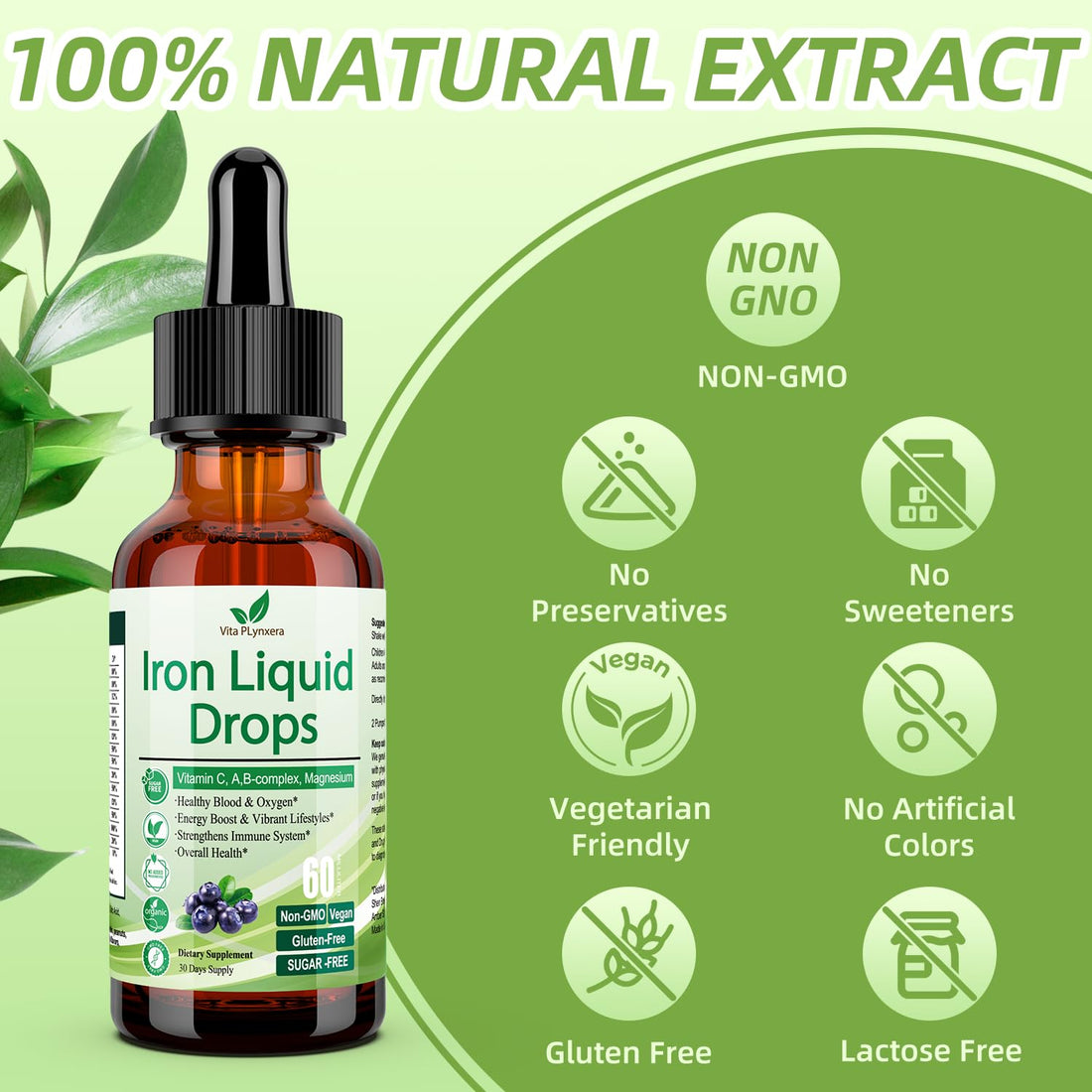 2 Pack Liquid Iron Supplement for Women Men & Kids, Vegan Iron Drops with Vitamin C D, B12, B-Complex, High Potency Liquid Iron with Multivitamin for Anemia, Energy Support, Magnesium Iron Gentle