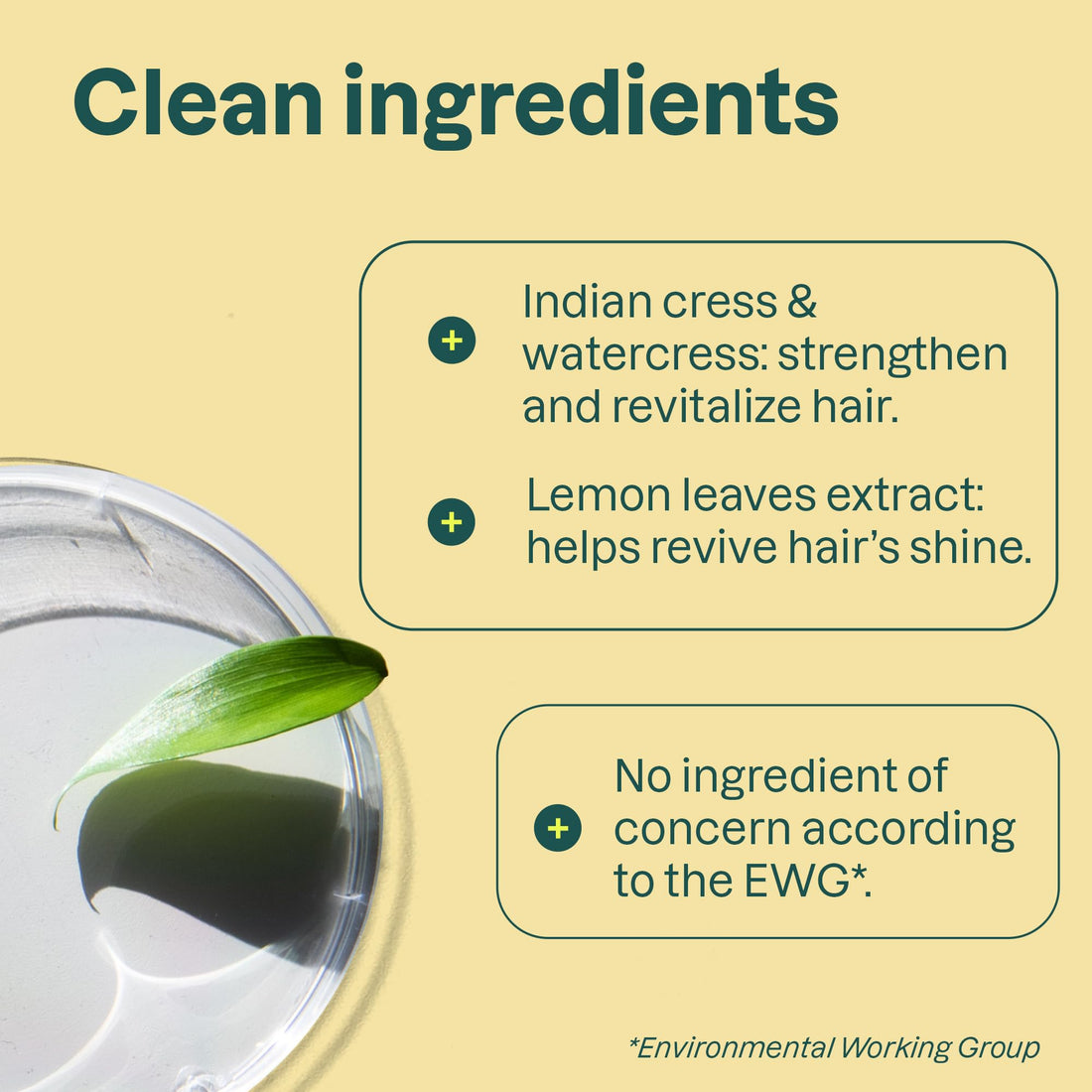 Attitude Natural Shampoo - Clarifying, White Tea and Lemon Leaves, 16 Fluid Ounce