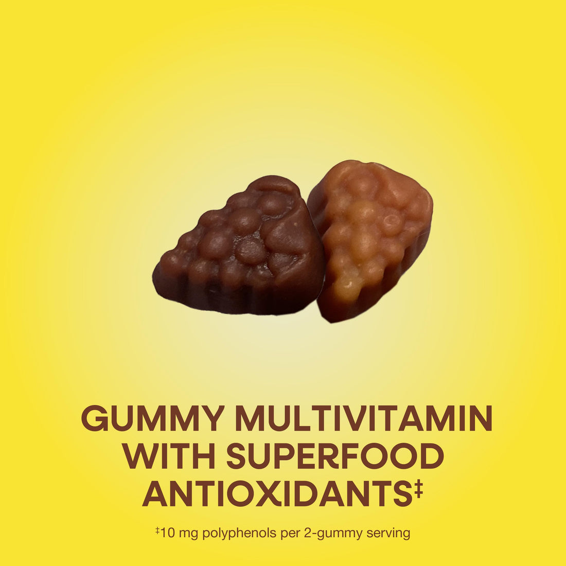 Nature's Way Alive! Women’s 50+ Daily Gummy Multivitamins, Supports Multiple Body Systems*, Supports Healthy Heart, Brain & Bones,* B-Vitamins, Mixed Berry Flavored, 60 Gummies (Packaging May Vary)