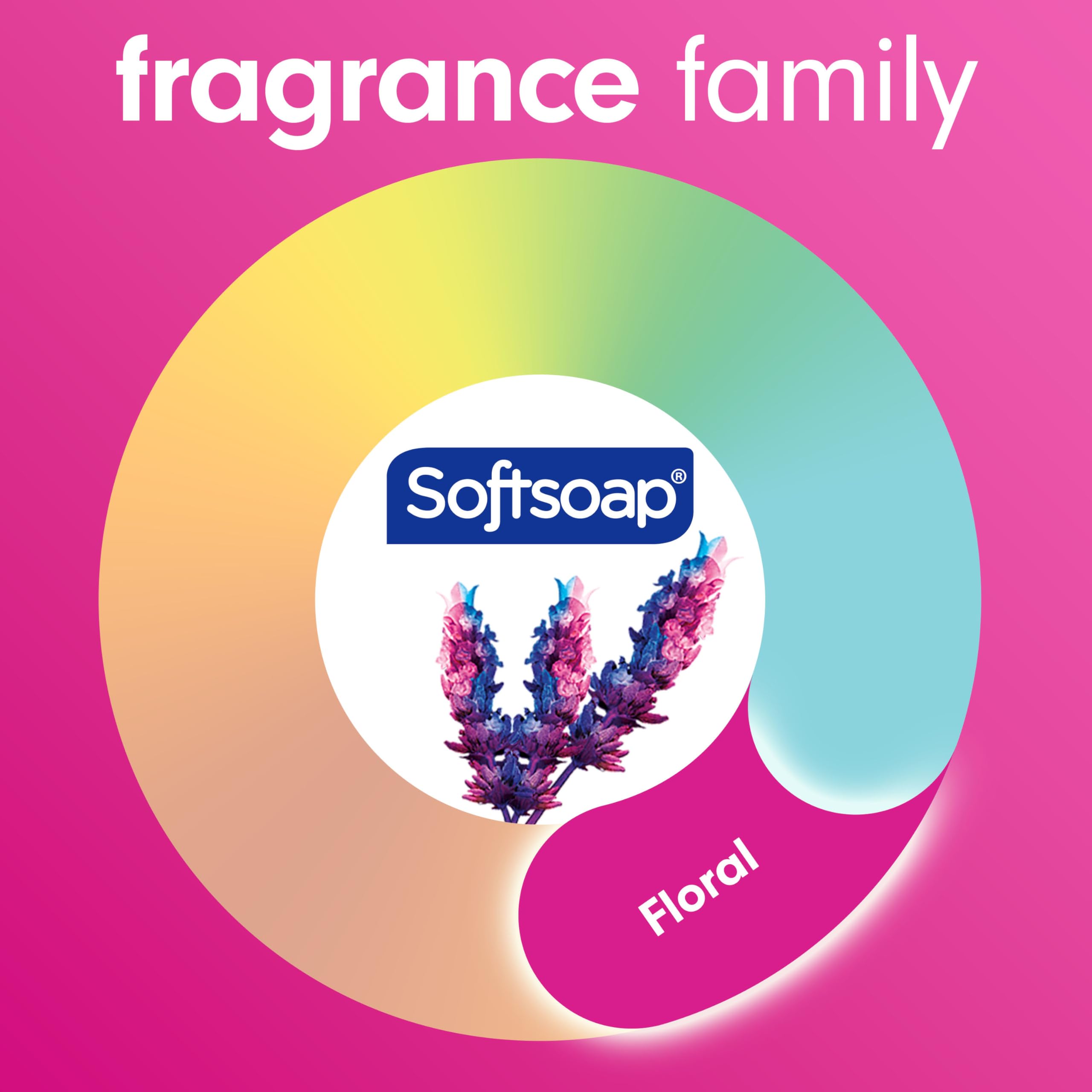 Softsoap Moisturizing Body Wash, Sweet Honeysuckle and Orange - 20 Fluid Ounces (4 Pack)