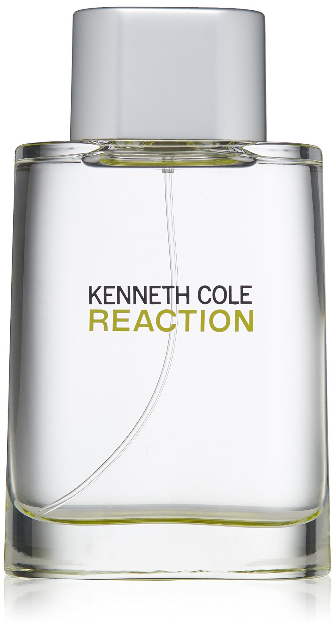 Kenneth Cole For Men (Liquid Eau De Toilette, 100ml) Citrus Aromatic Fragrance