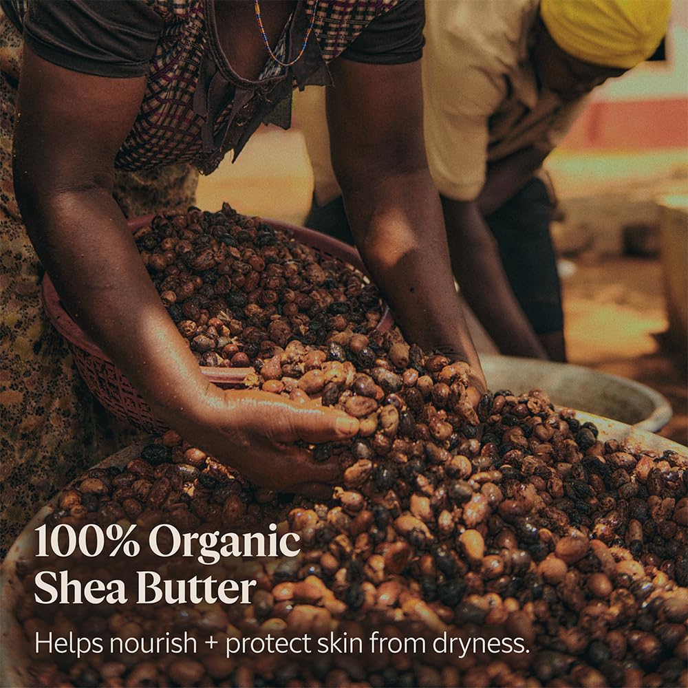 L'Occitane Shea Butter Hand Cream: Nourishes Very Dry Hands | Protects Skin | With 20% Organic Shea Butter | Vegan | 1 Sold Every 3 Seconds
