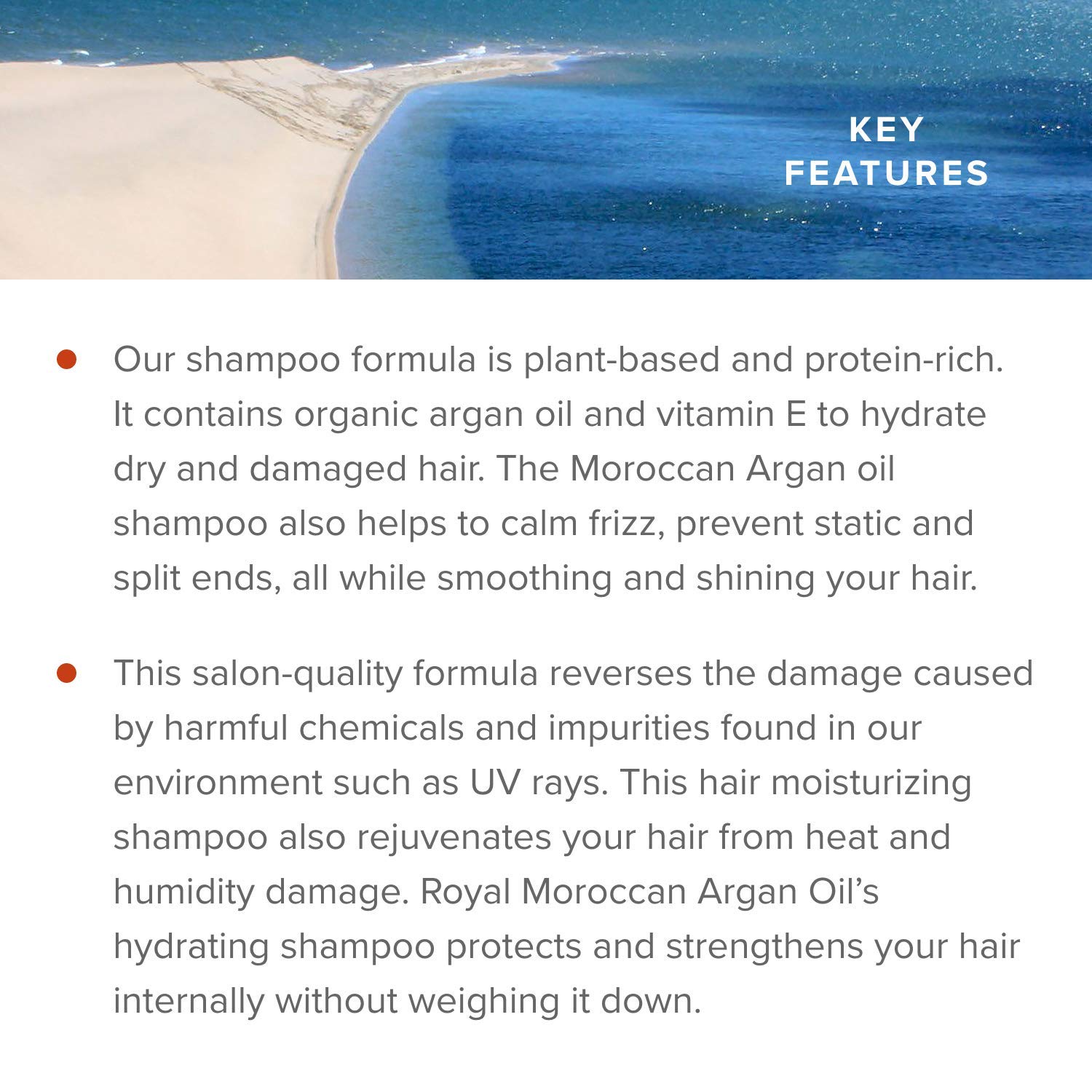 Moisturizing Shampoo | Dry Hair Shampoo for Color Treated & Frizzy Hair | Royal Moroccan Argan Oil Hair Products (500 ml 16.9 oz)