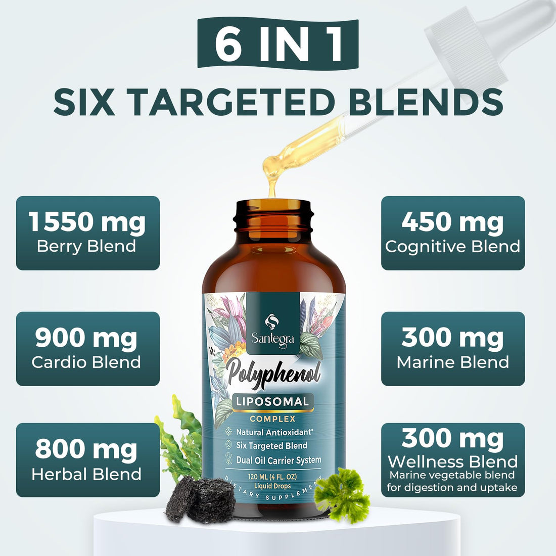 Polyphenols Supplement Liposomal, Over 27 Polyphenol Complex & Powerful Antioxidant, with MCT & Olive Oil, Quercetin Extract, Hawthorn Berry Extract, for Age Defense, Energy, Immune, 120 ML