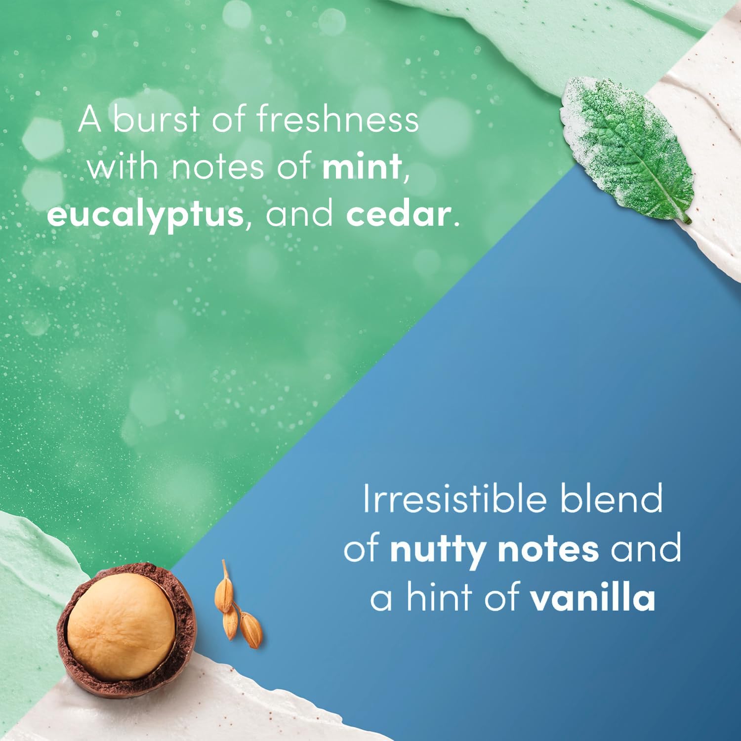 Dove Body Scrub Gift Set Variety 2-Pack – Exfoliating Winter Mint and Crushed Macadamia in Mini Jars, Gifts for Women, 3.5 Oz Ea