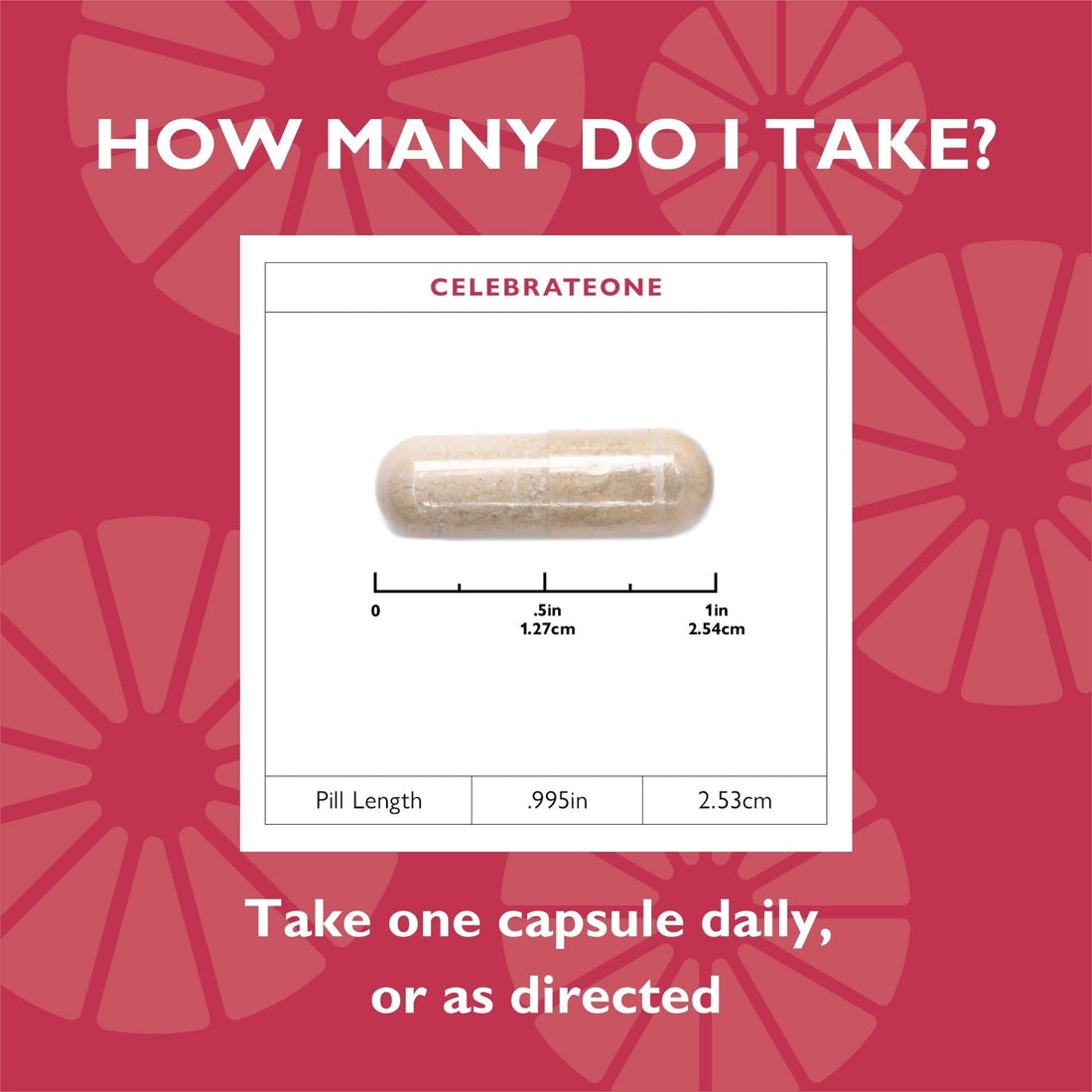 Celebrate Vitamins CelebrateONE, Iron Free - One A Day Bariatric Multivitamin, Essential Vitamins & Minerals - Gastric Bypass & Sleeve Gastrectomy Supplement (30 Capsules)