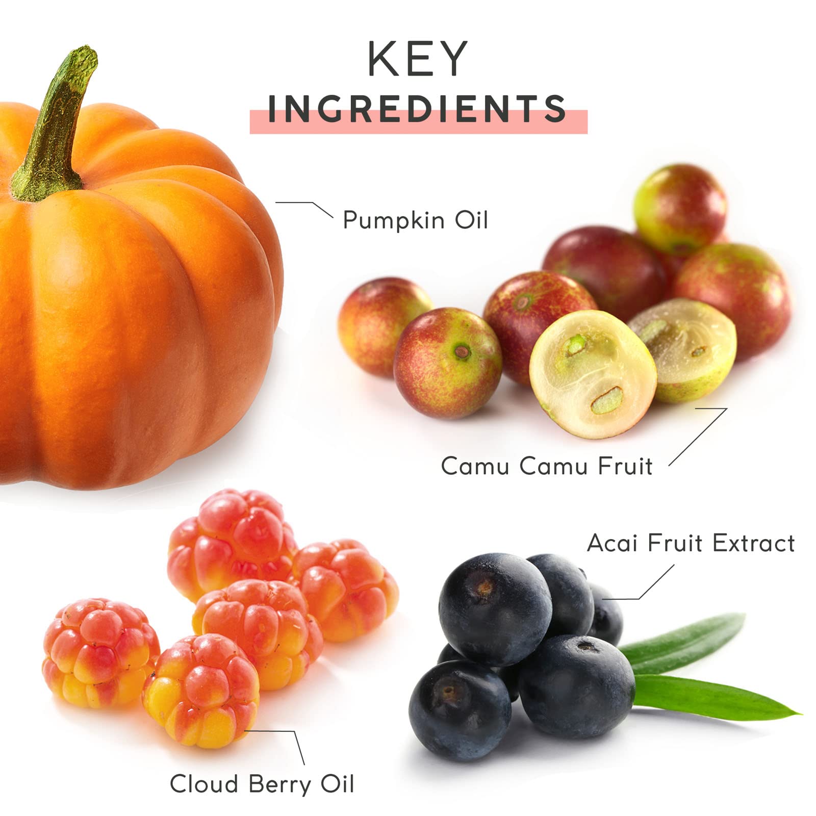 MyChelle Pumpkin Renew Cream, Lightweight Antioxidant-Rich Moisturizer with Shea Butter for All Skin Types, 1.2 fl oz