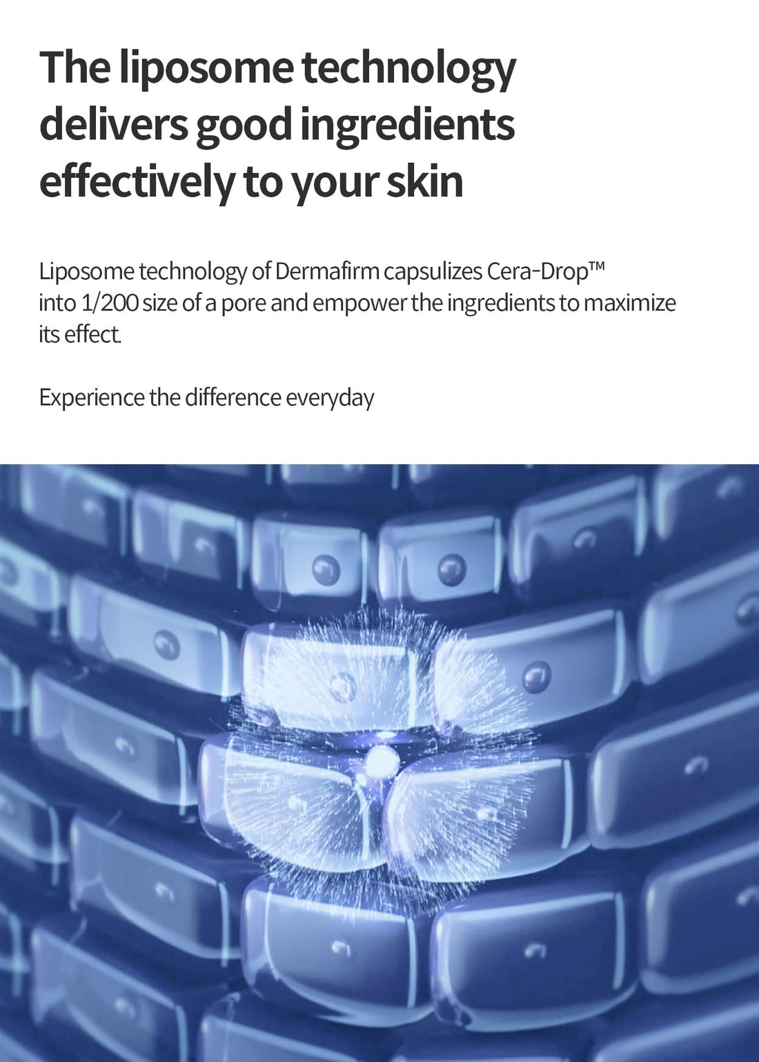 Dermafirm Moist Barrier Balancing Emulsion Cream M4 w/Ceramide, Peptide & Collagen for All Skin Types | Face Lotion Dry Skin Cream for Hydration & Balancing | No Animal Trials No Paraben 6.76 fl oz