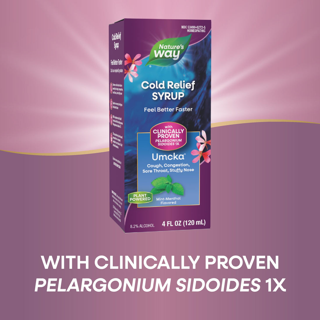 Nature's Way Umcka ColdCare Homeopathic, Sore Throat, Cough, and Congestion Relief, Phenylephrine Free, Mint-Menthol Flavored, 4 Fl. Oz Syrup