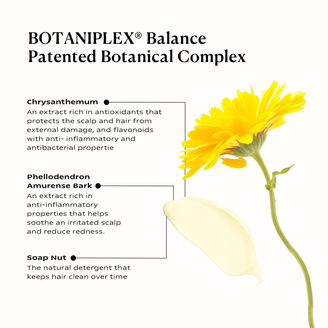 KAMEDIS Hair Conditioner Botanicals-Based. Moisturizer for Dry Damaged Hair & Sensitive Scalp. Strengthens & Nourishes All Hair Types. Contains Shea Butter, Castor Oil & Argan Oil. 16.9 Fl Oz.