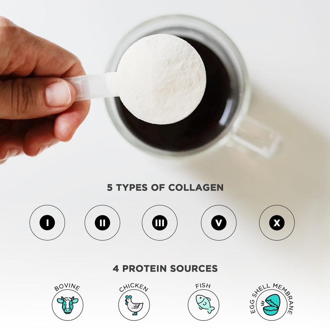 Vital Vitamins Multi Collagen Peptides Powder - Unflavored, Easy to Dissolve - Type I, II, III, V, X - for Women & Men - Promotes Hair, Skin, Nails, & Joint Health - 30 Servings