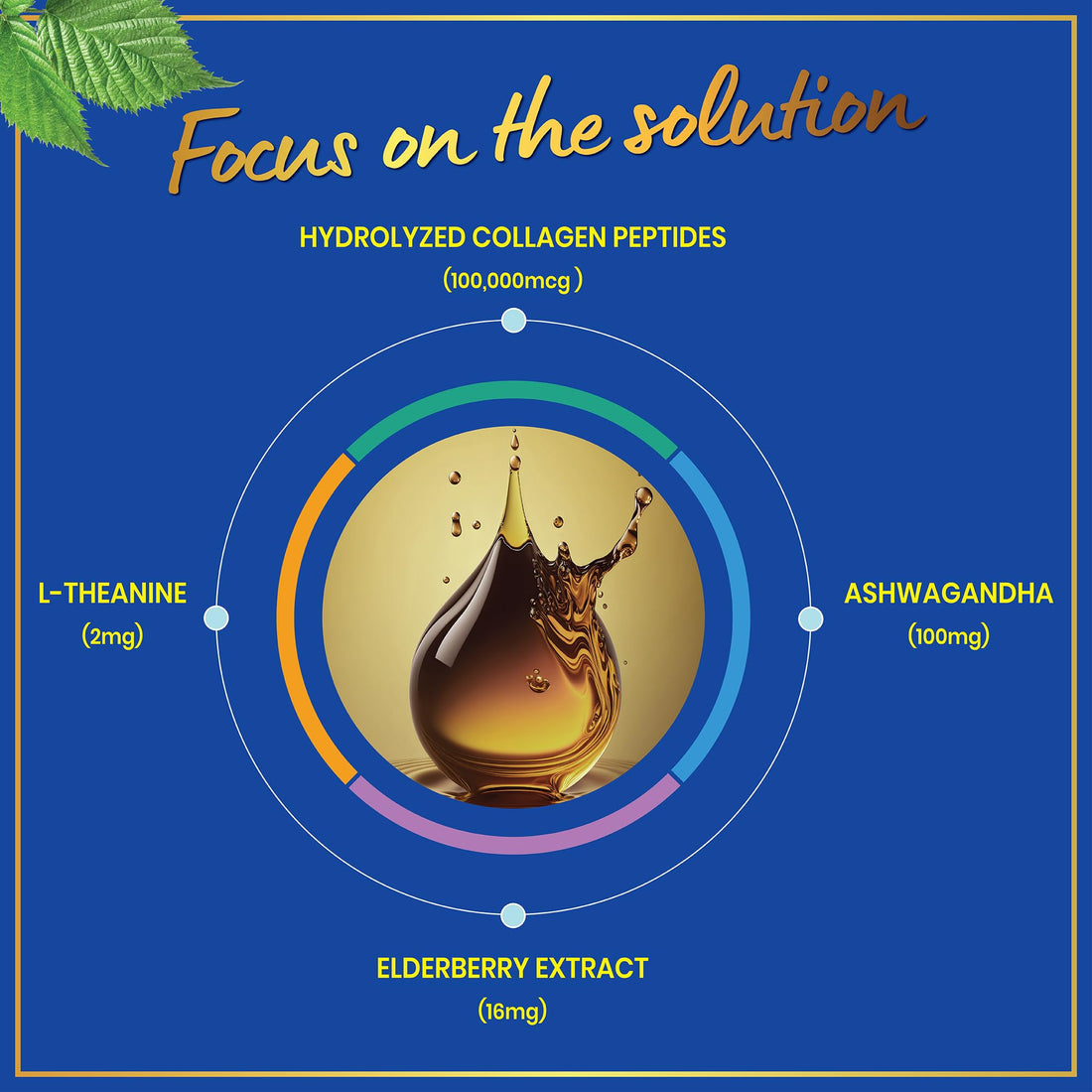 Liquid Collagen for Women with Ashwagandha, Elderberry, L-Theanine - High Absorption 100,000 mcg Hydrolyzed Collagen Peptides Liquid Drops - Hair, Skin, Nails and Nails Support – 60 Servings