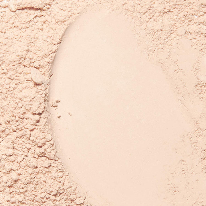 PALLADIO BEAUTY DUAL WET & DRY FOUNDATION - NATURAL CLARY, 0.28 oz (8g)