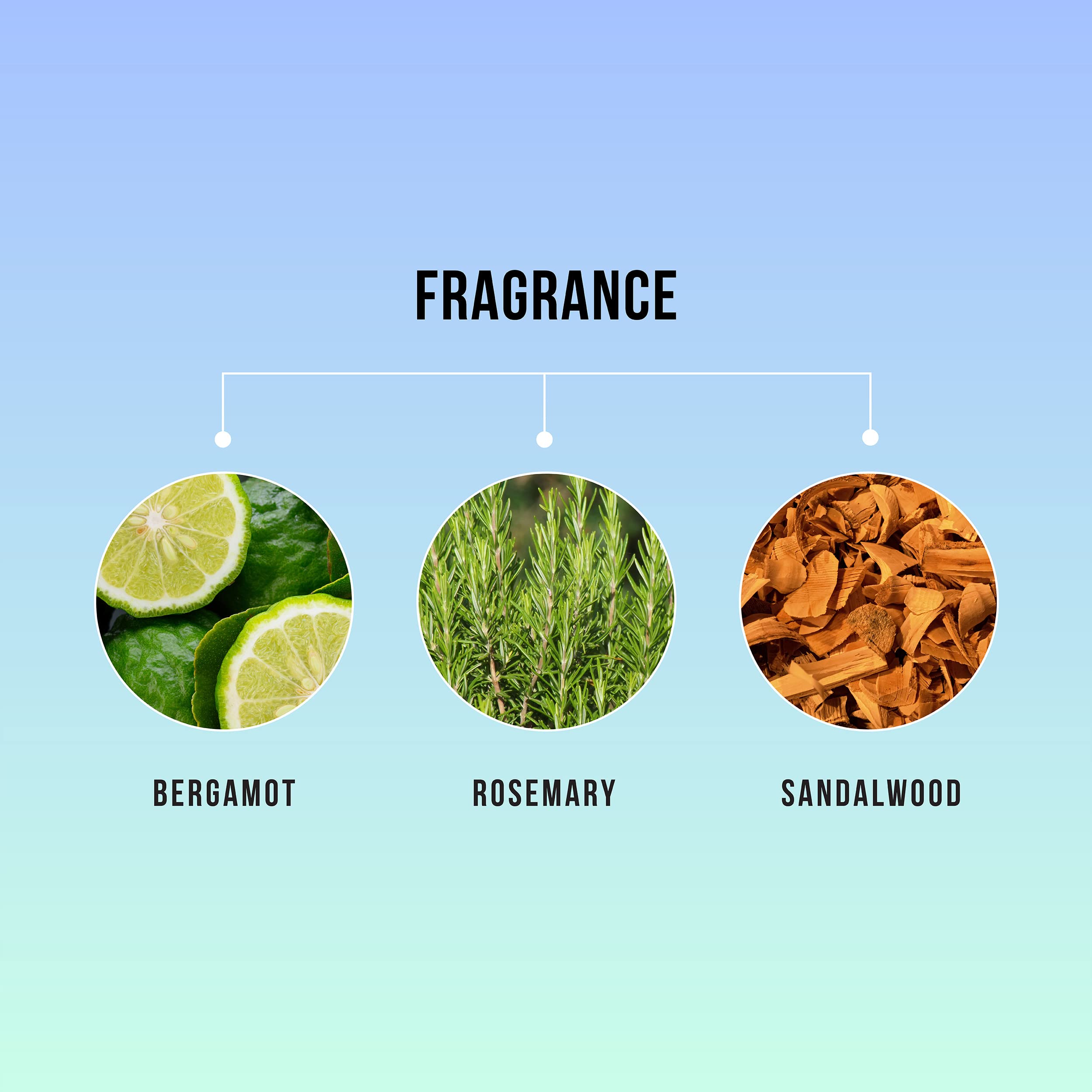 Hask Tea tree shampoo 355ml And Hask Tea tree mask 50ml Combo