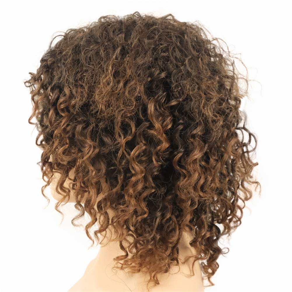 Brown#2T30: Wiginway Women Wigs Medium Curly Brown Wigs Synthetic Wig Hairpieces For Women Remy Hair Hair Pieces 8 Inch(#2T30)