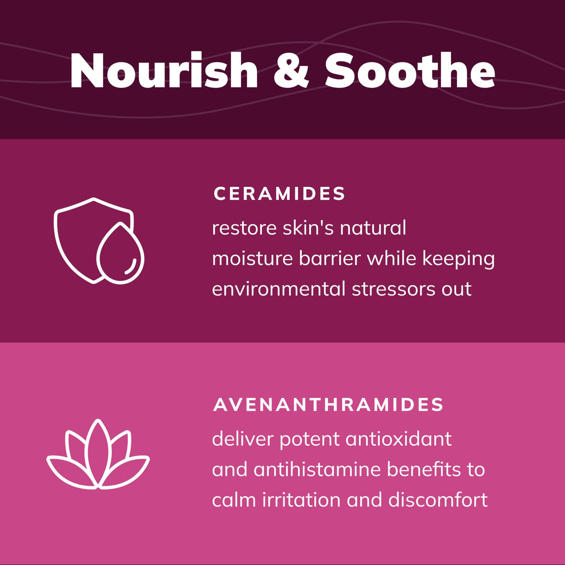 CeraSoothe® CHX+MC Antiseptic Shampoo 8oz