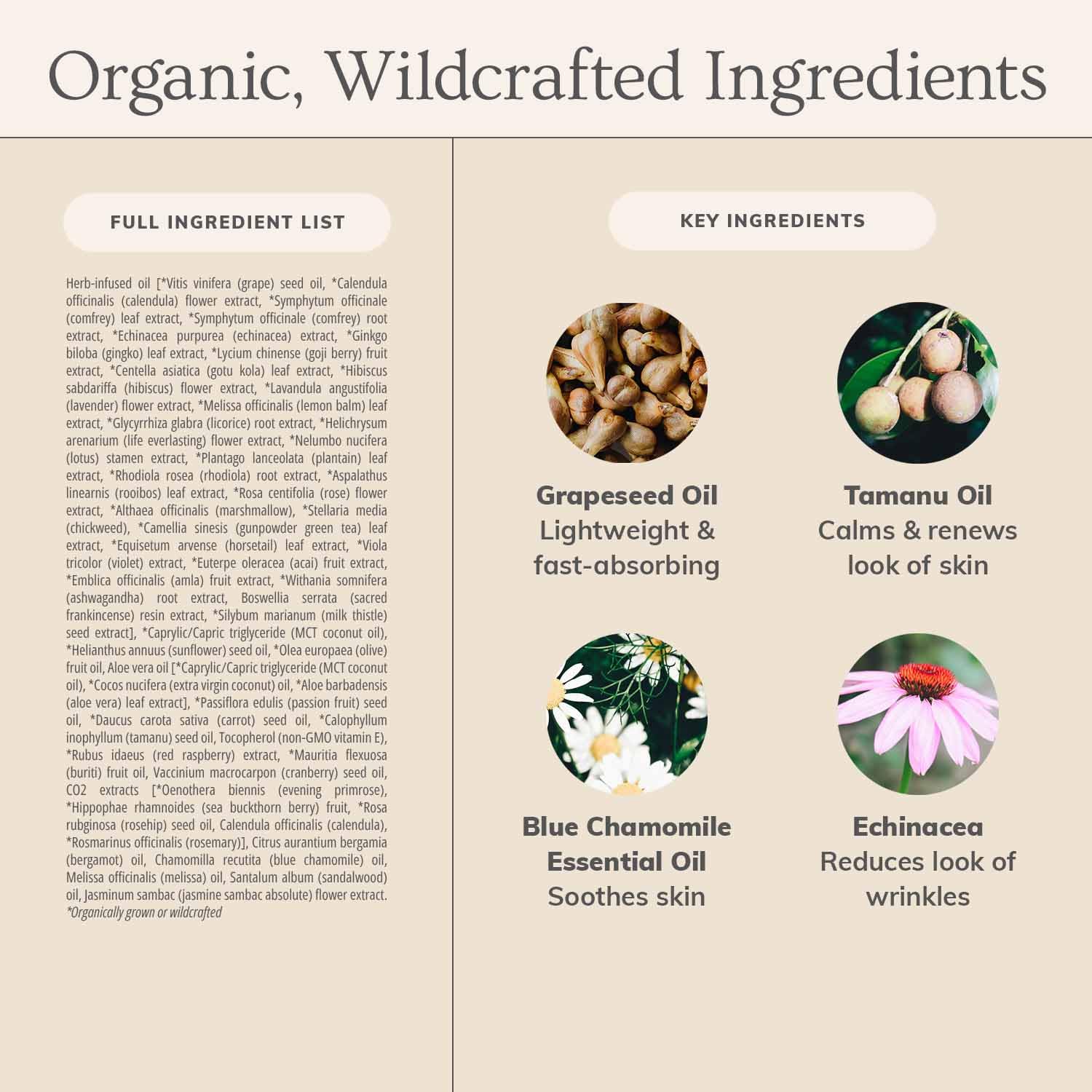 Annmarie Skin Care Herbal Facial Oil for Normal and Combination Skin