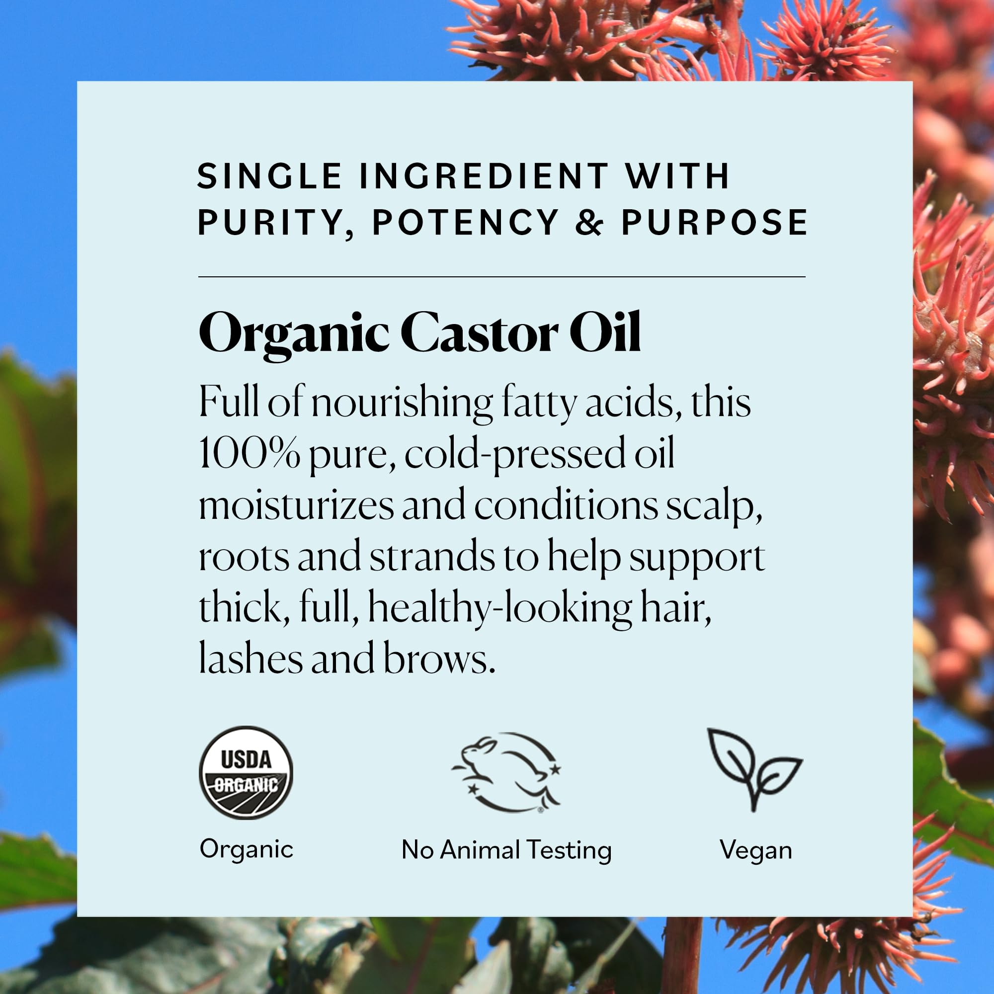 Organic Castor Oil By Sky Organics, Cold-Pressed, 100% Pure, Hexane-Free Castor Oil - Dry Skin, Hair Growth, Eyelashes growth and eyebrows growth- Caster Oil Lash Enhancer with Mascara Brushes (30ml)
