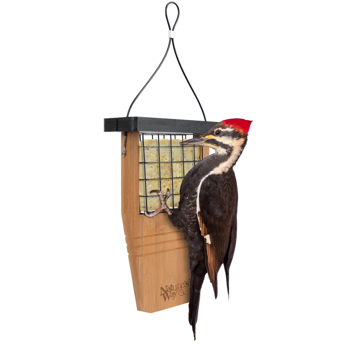 Nature's Way Bird Products BWF1 Tail-prop Suet Bird Feeder 12H x 7.875L x 3W, Wood