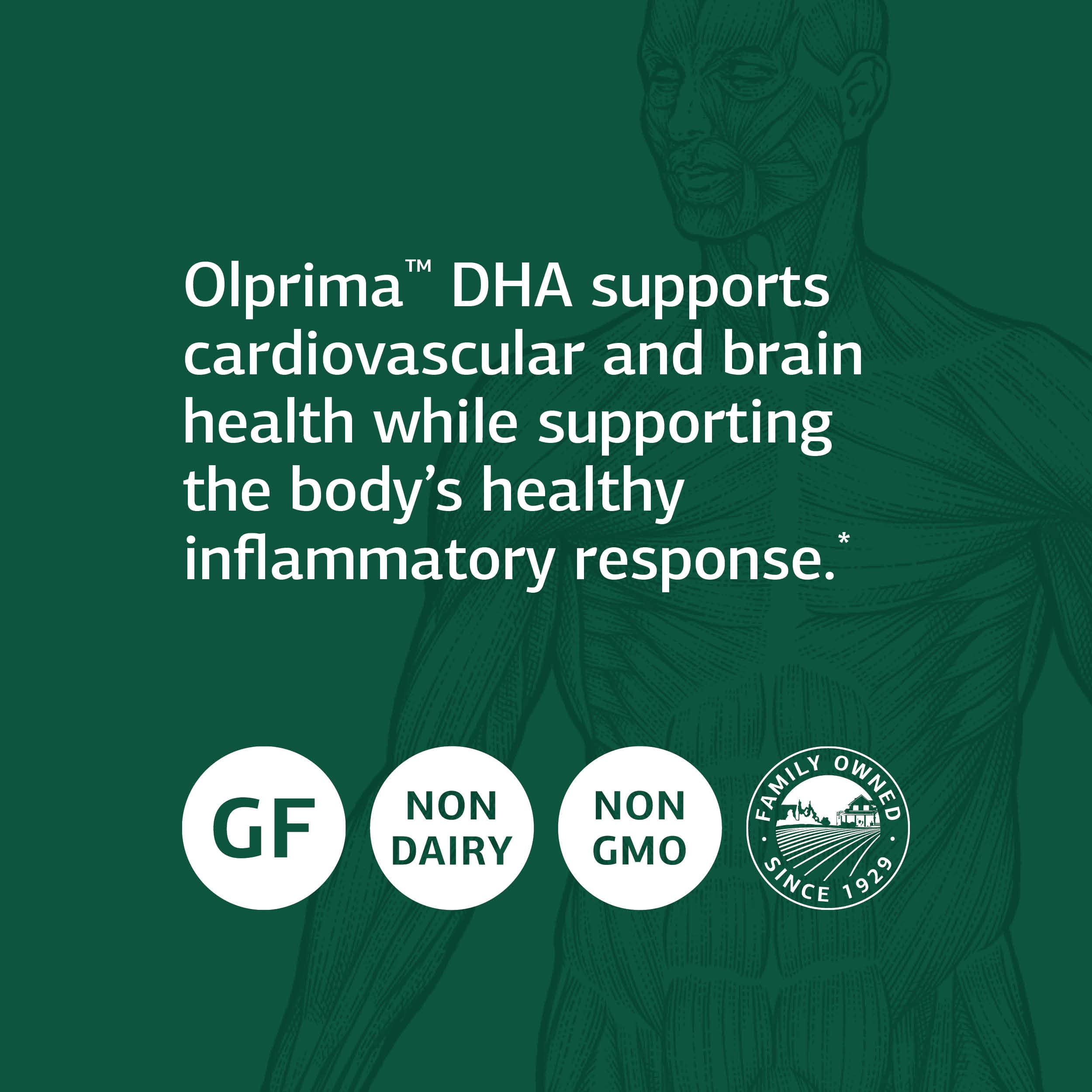 Standard Process Inc. Olprima DHA - Whole Food Cognitive Health, Brain Health and Heart Health, Astaxanthin, DPA and DHA with Omega 3 Tuna Fish Oil and Rosemary - Gluten Free - 60 Softgels