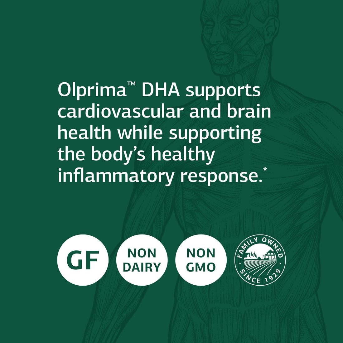 Standard Process Inc. Olprima DHA - Whole Food Cognitive Health, Brain Health and Heart Health, Astaxanthin, DPA and DHA with Omega 3 Tuna Fish Oil and Rosemary - Gluten Free - 60 Softgels