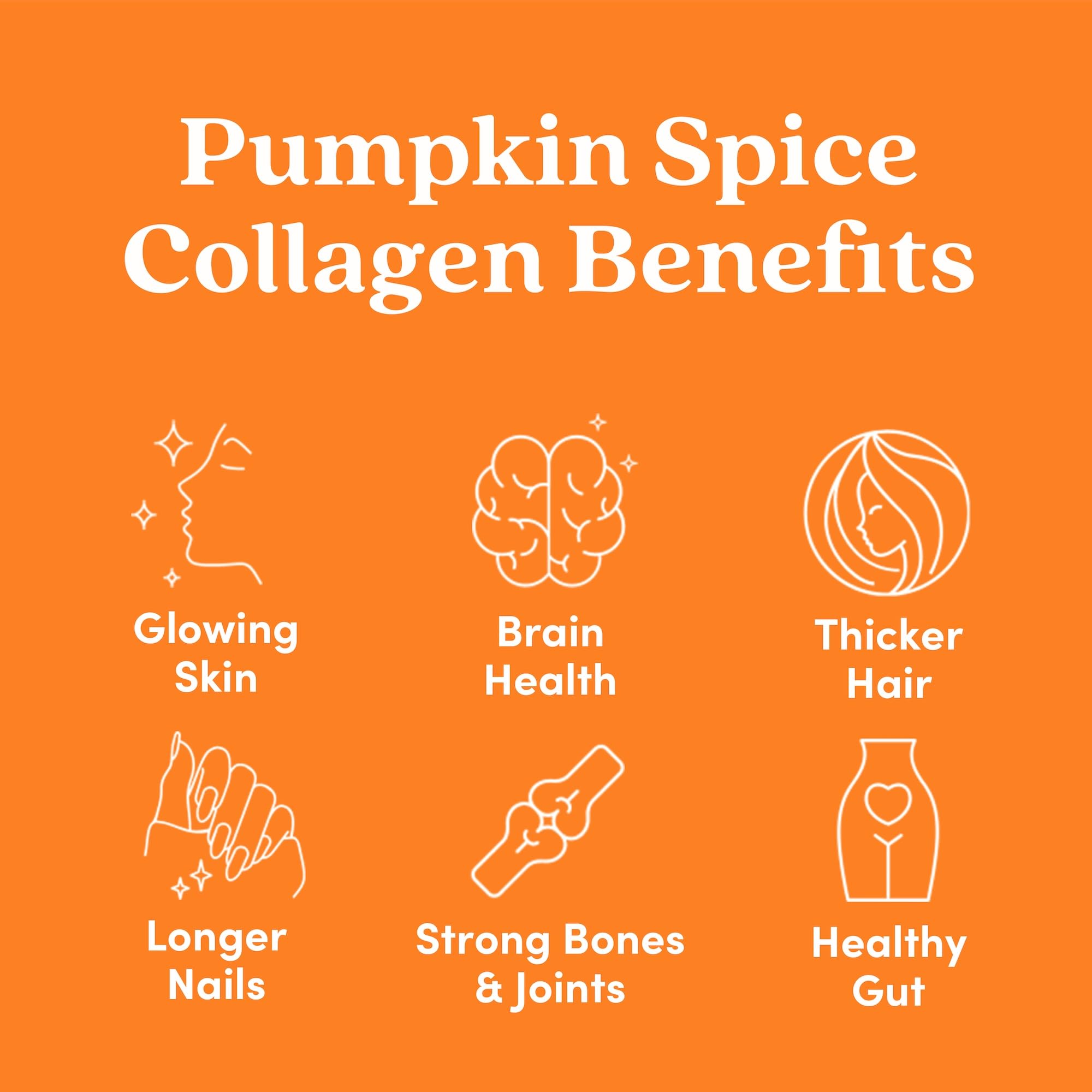 Further Food Pumpkin Spice Collagen