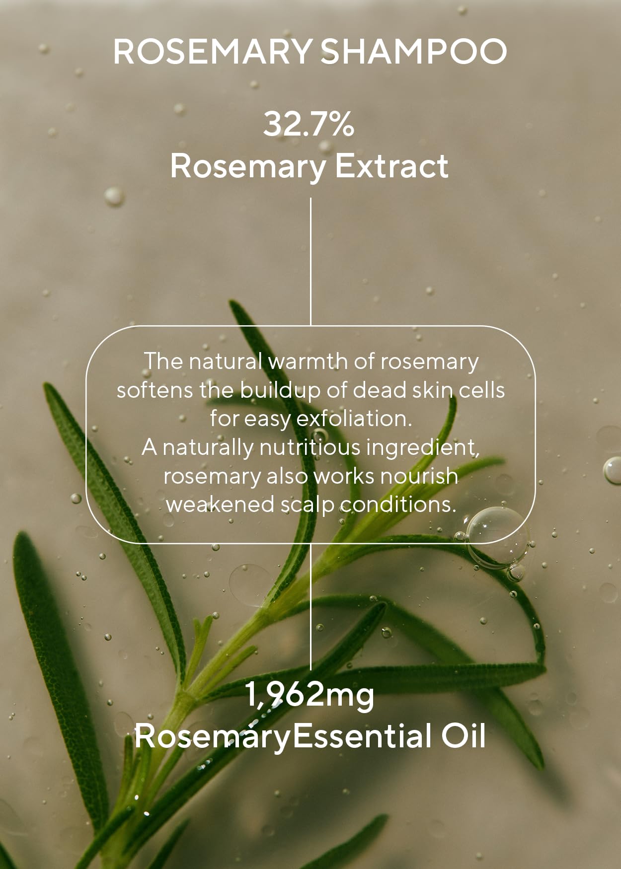 AROMATICA Rosemary Scalp Scaling Shampoo and Conditioner Set 13.53 fl.oz each – Vegan Hair Care Gift Set with Rosemary Oil. Sulfate Free Shampoo Conditioner For Hair Growth