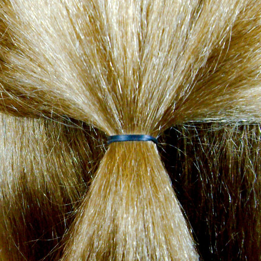 1000 Count Rubber Bands in Re-closable Container for Ponytails and Braids (Black)